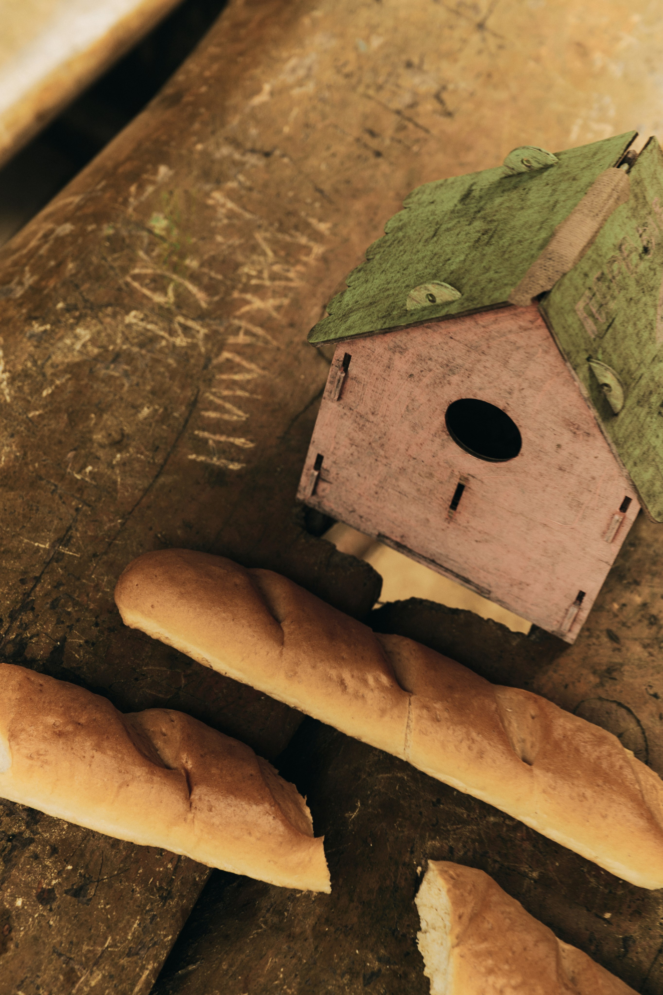 BAON x SAKHALIN. Фотограф Сурков Никита