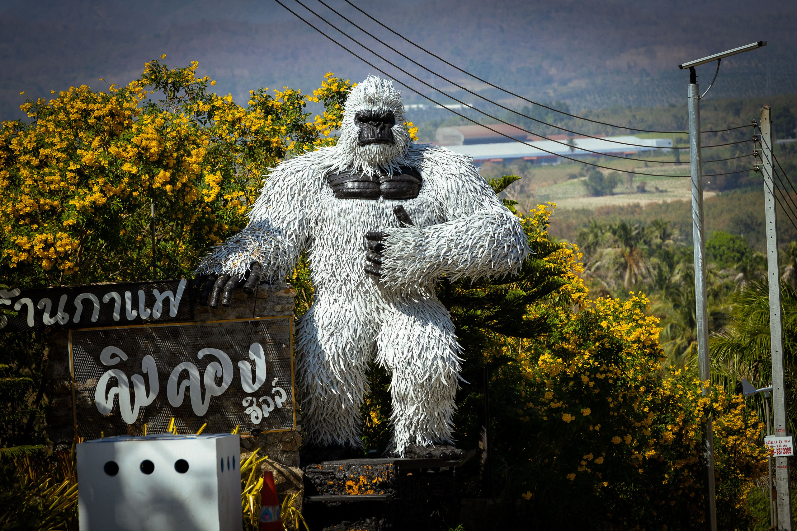 Таиланд (зима 2025). Фотограф Виноградов Константин
