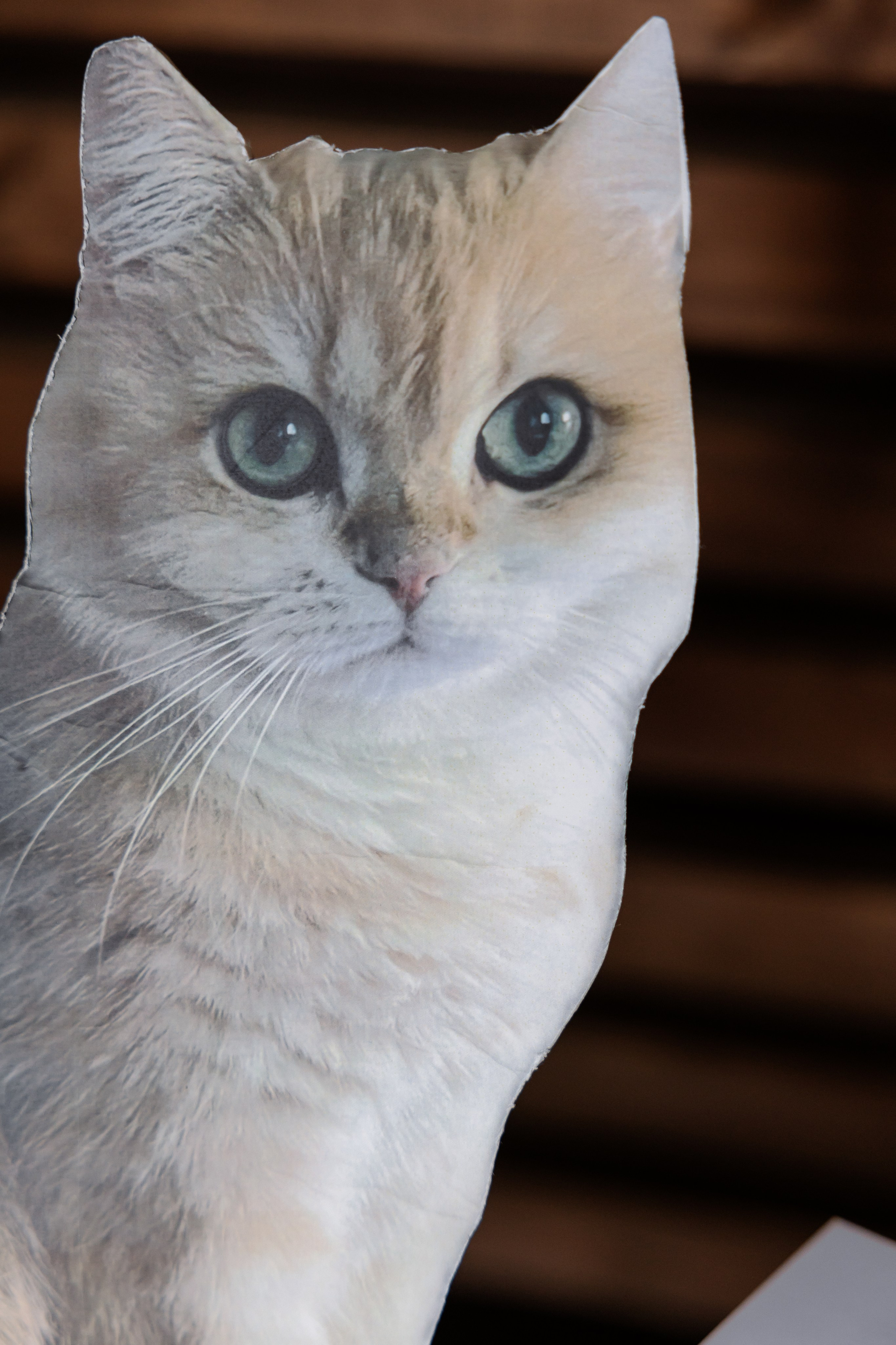 Дмитрий & Анна. RETOUCH-HOUSE