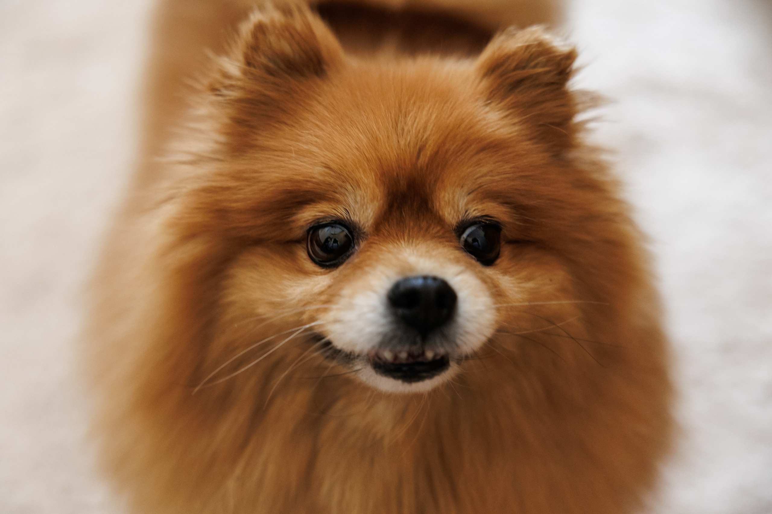 Георгий & Нино. RETOUCH-HOUSE