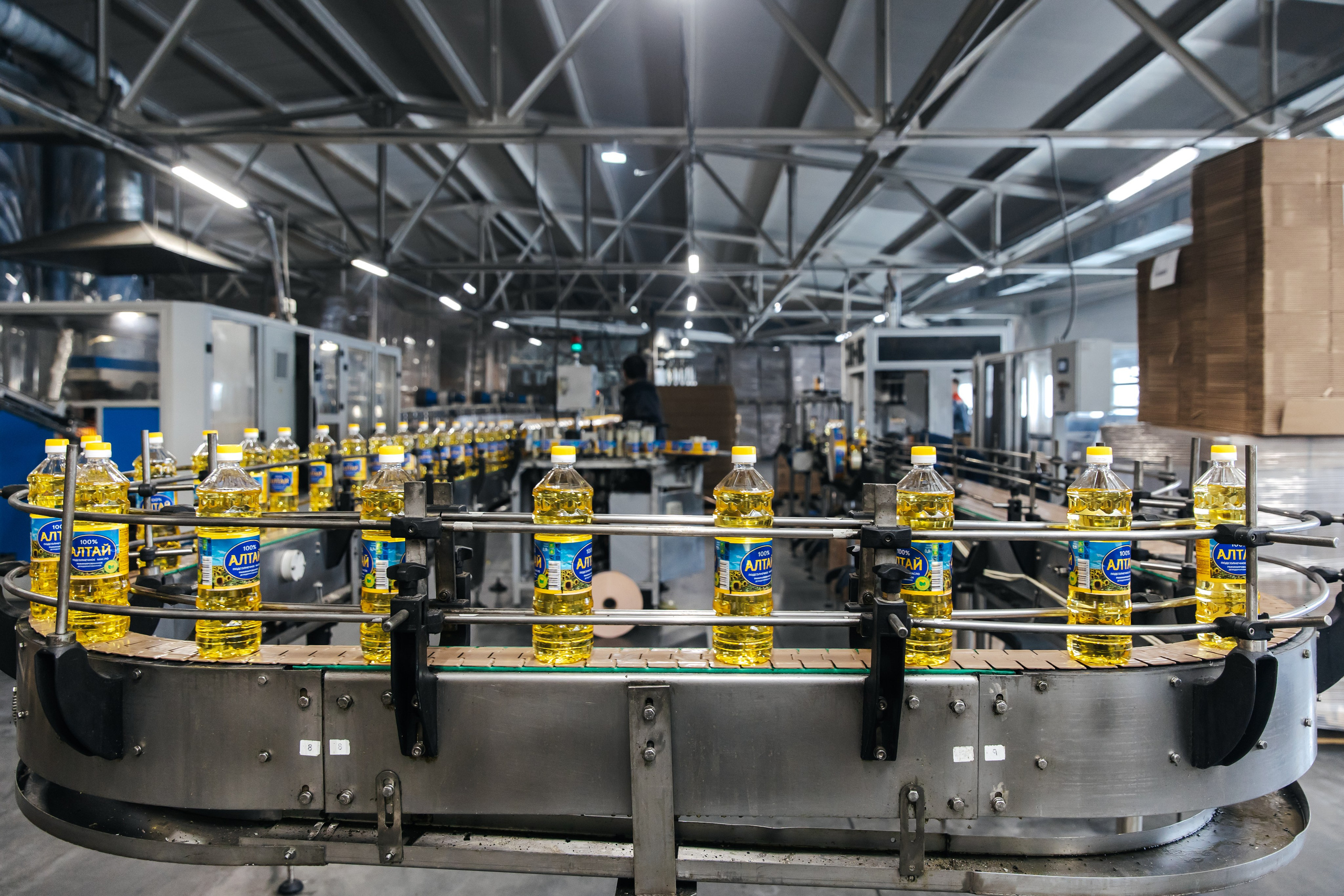 Диво Алтая. Производитель подсолнечного масла. Лихошерстов Андрей — фотограф для бизнеса из Сибири