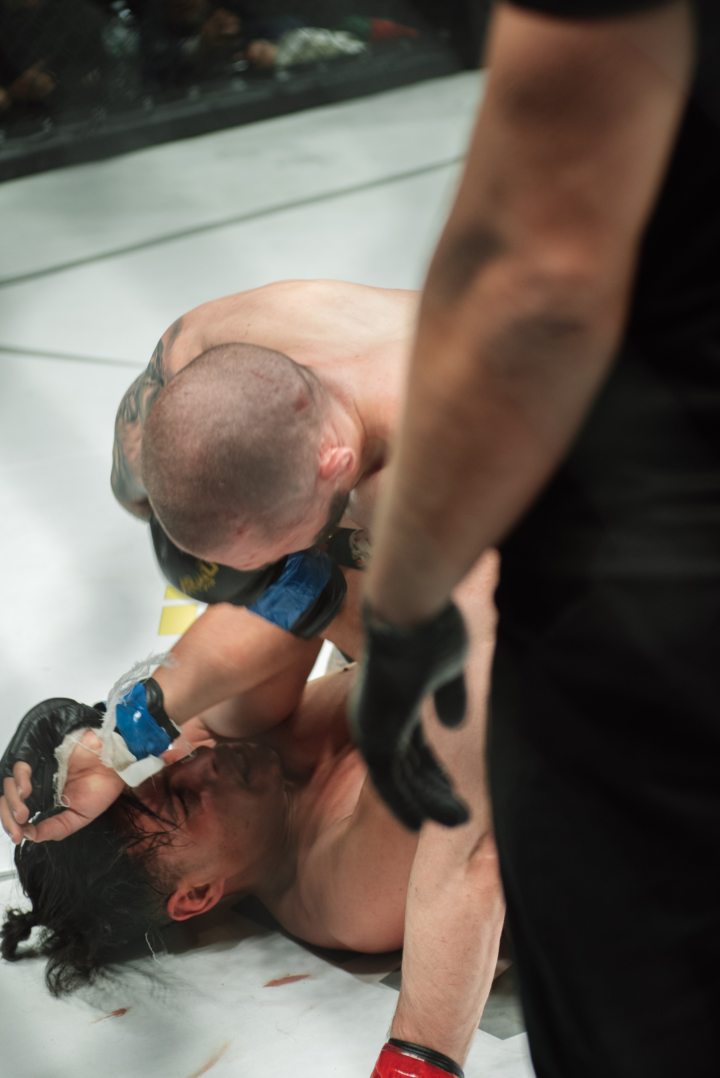 Miroslava Fight