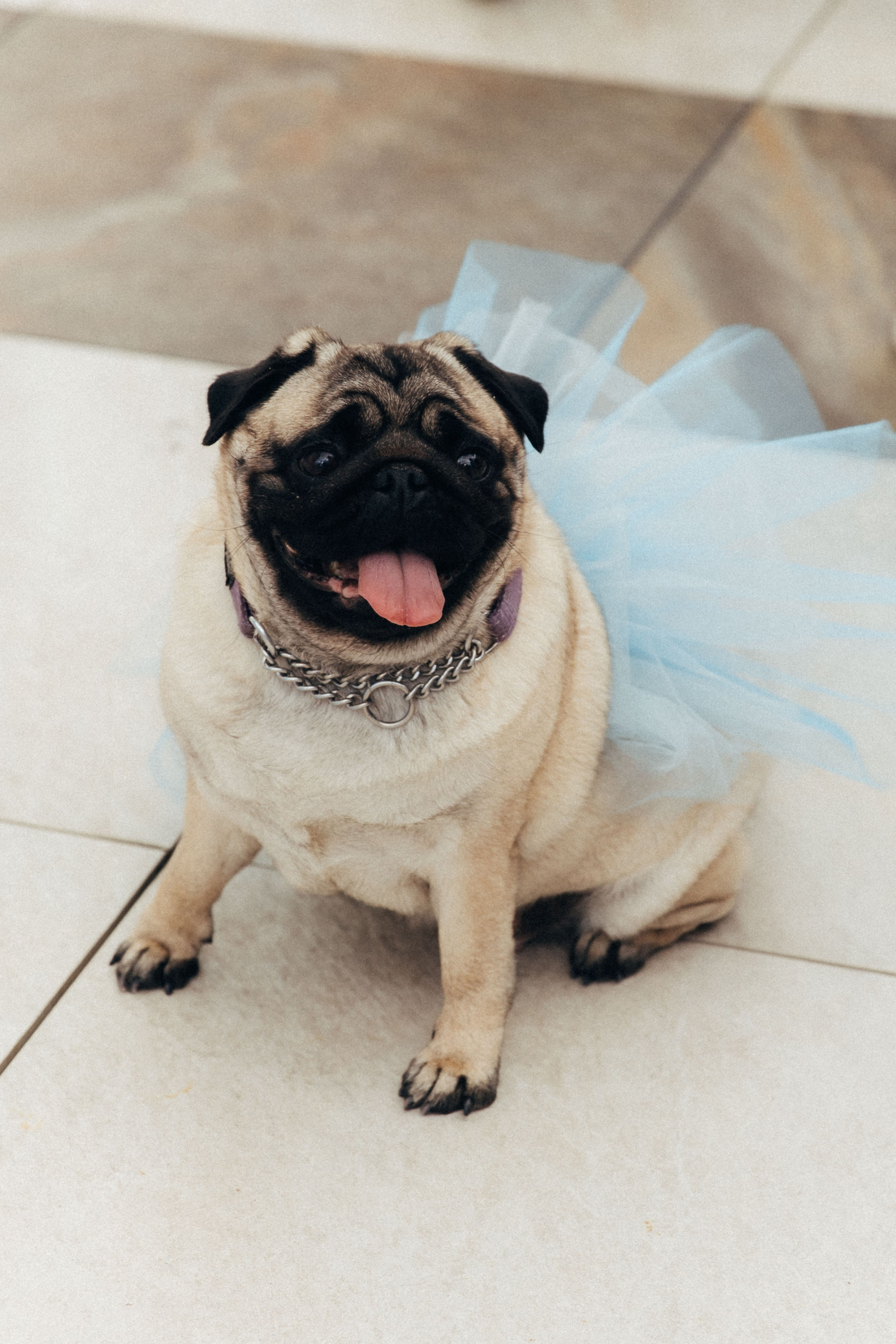 Илья и Вика. Катерина Аникеева | Фотограф | Екатеринбург