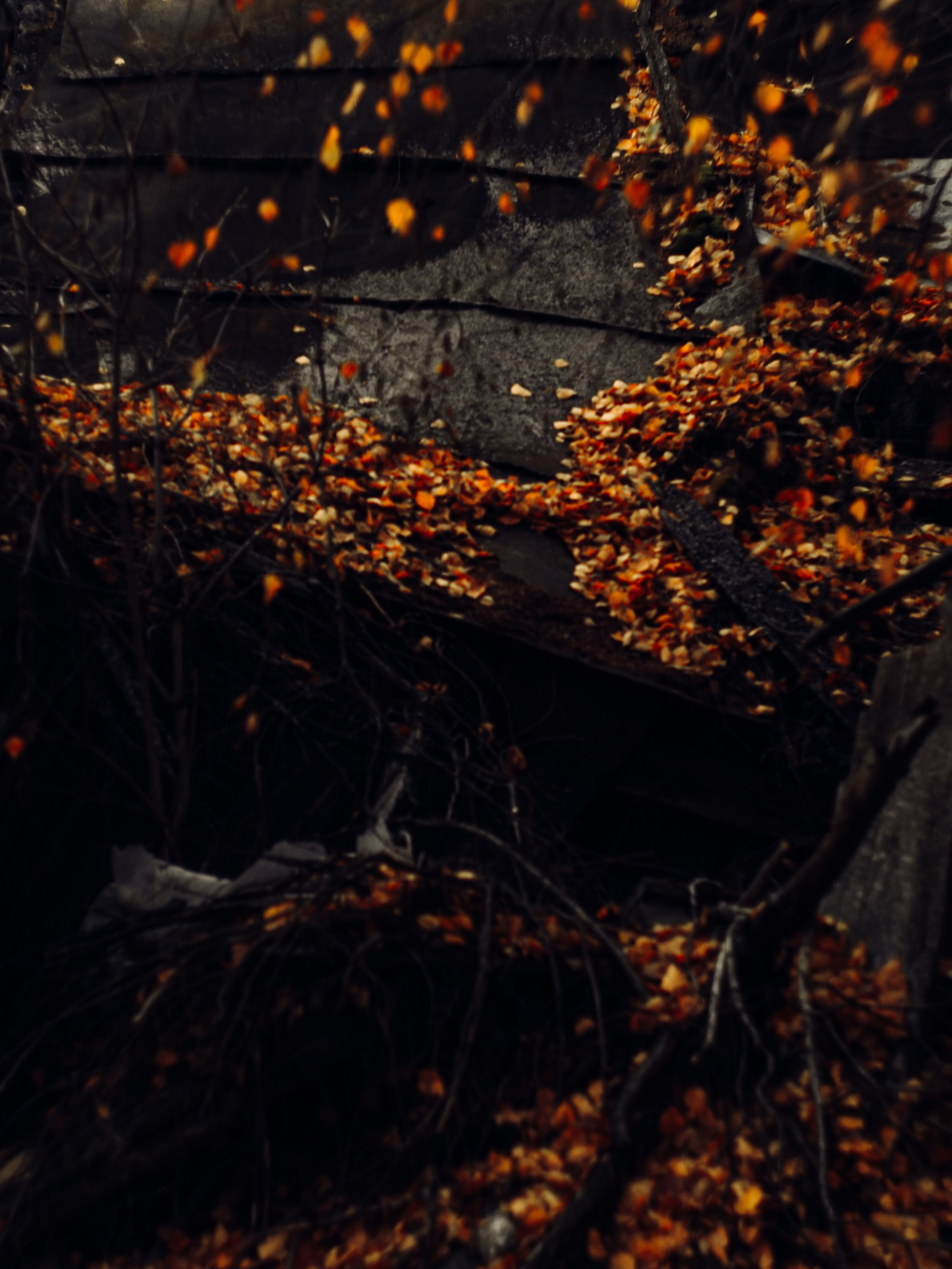 Арина. Фотоистории