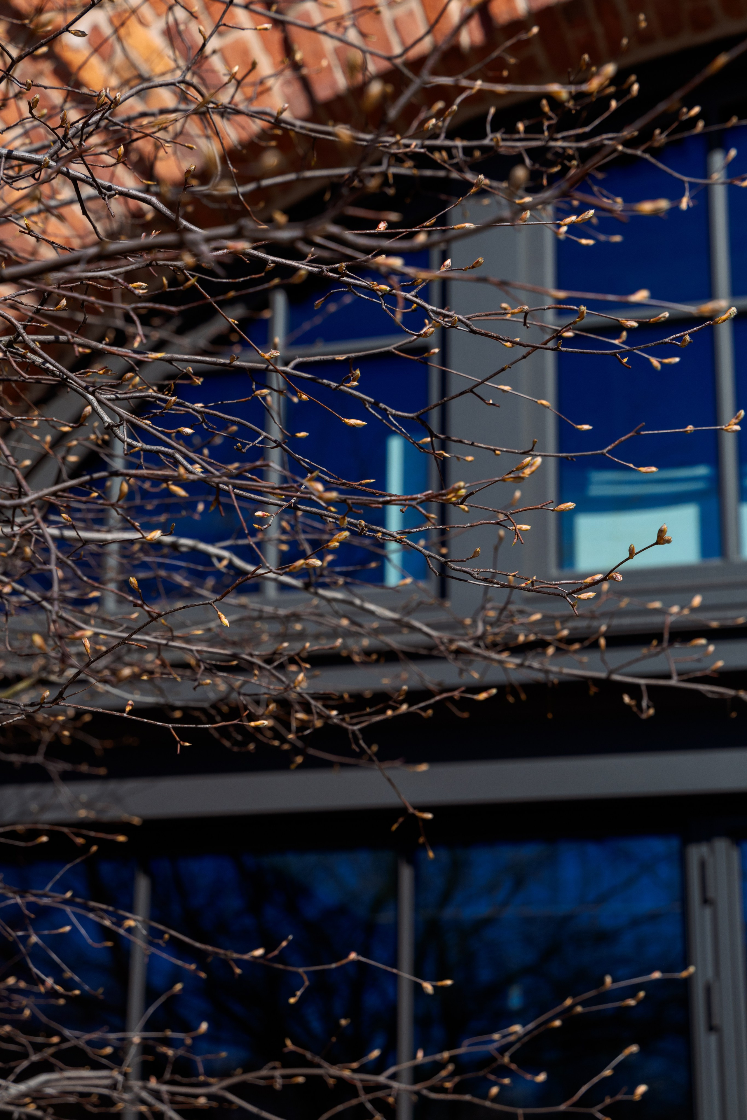 New Holland. Spring. Anna Gidros — профессиональный фотограф