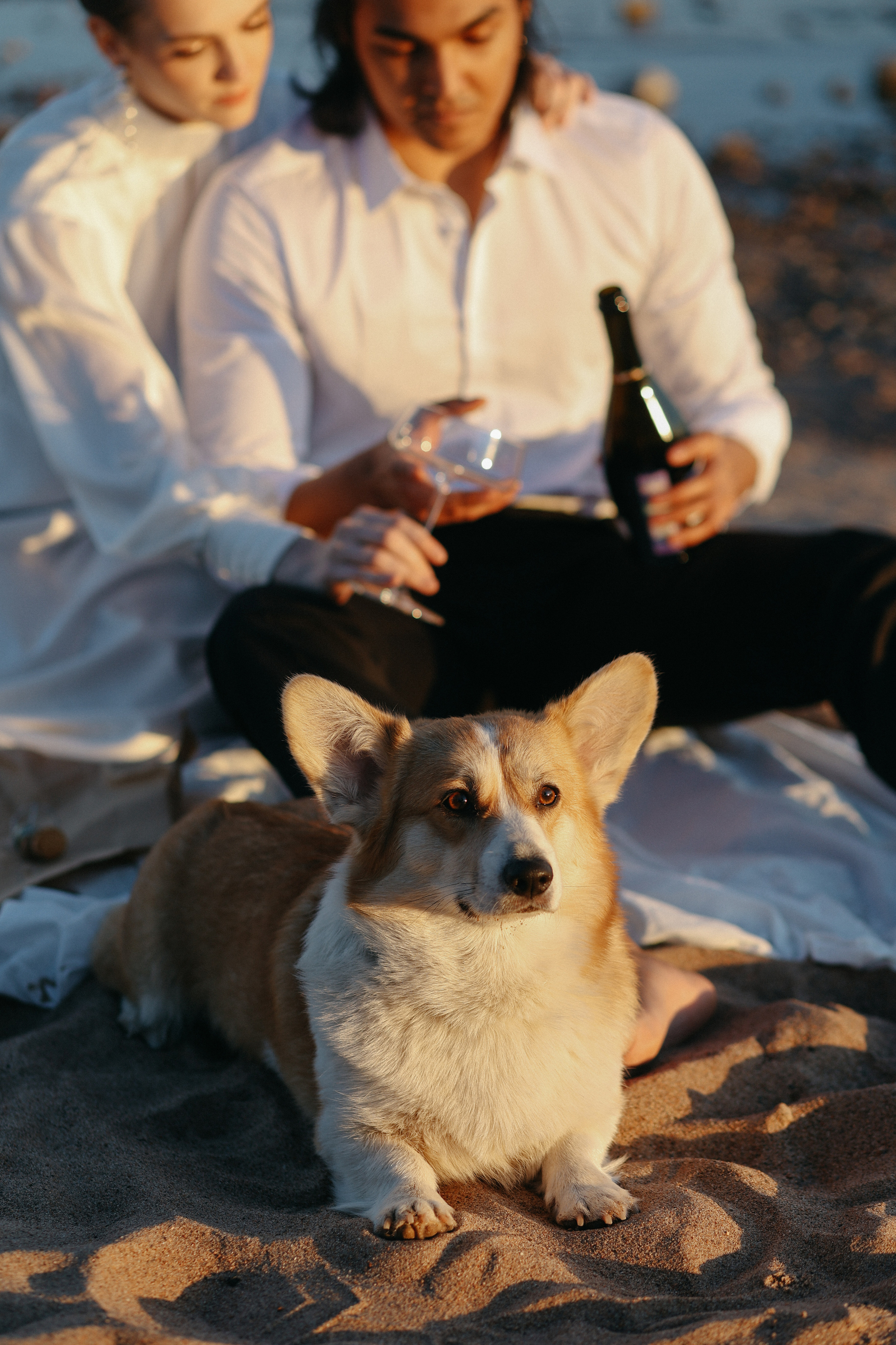 Wedding day Санни и Аня. Свадебный фотограф Полина Мишуринская