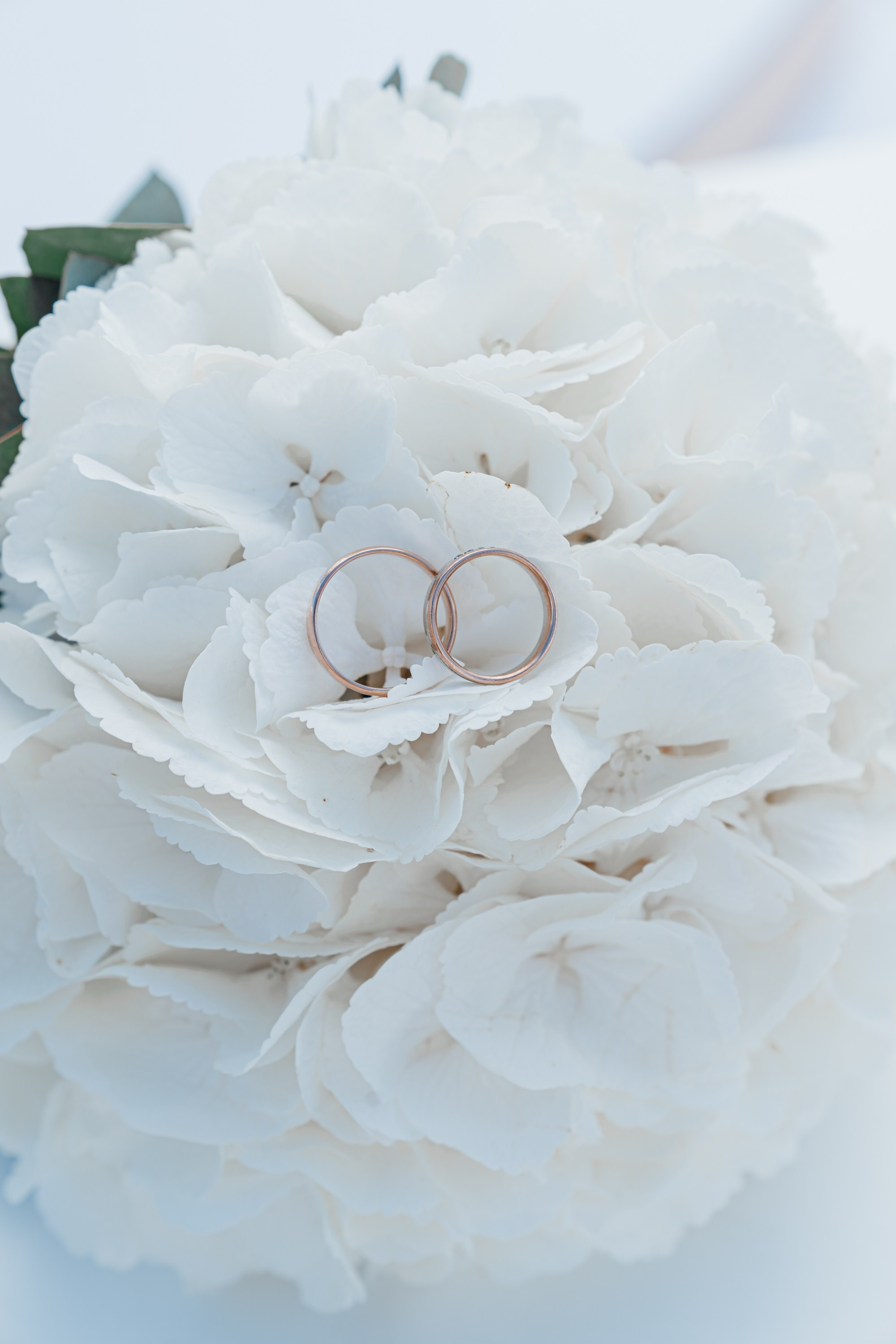 Захар&Кристина. Семейный и женский фотограф в Белгороде Мария Алексеева