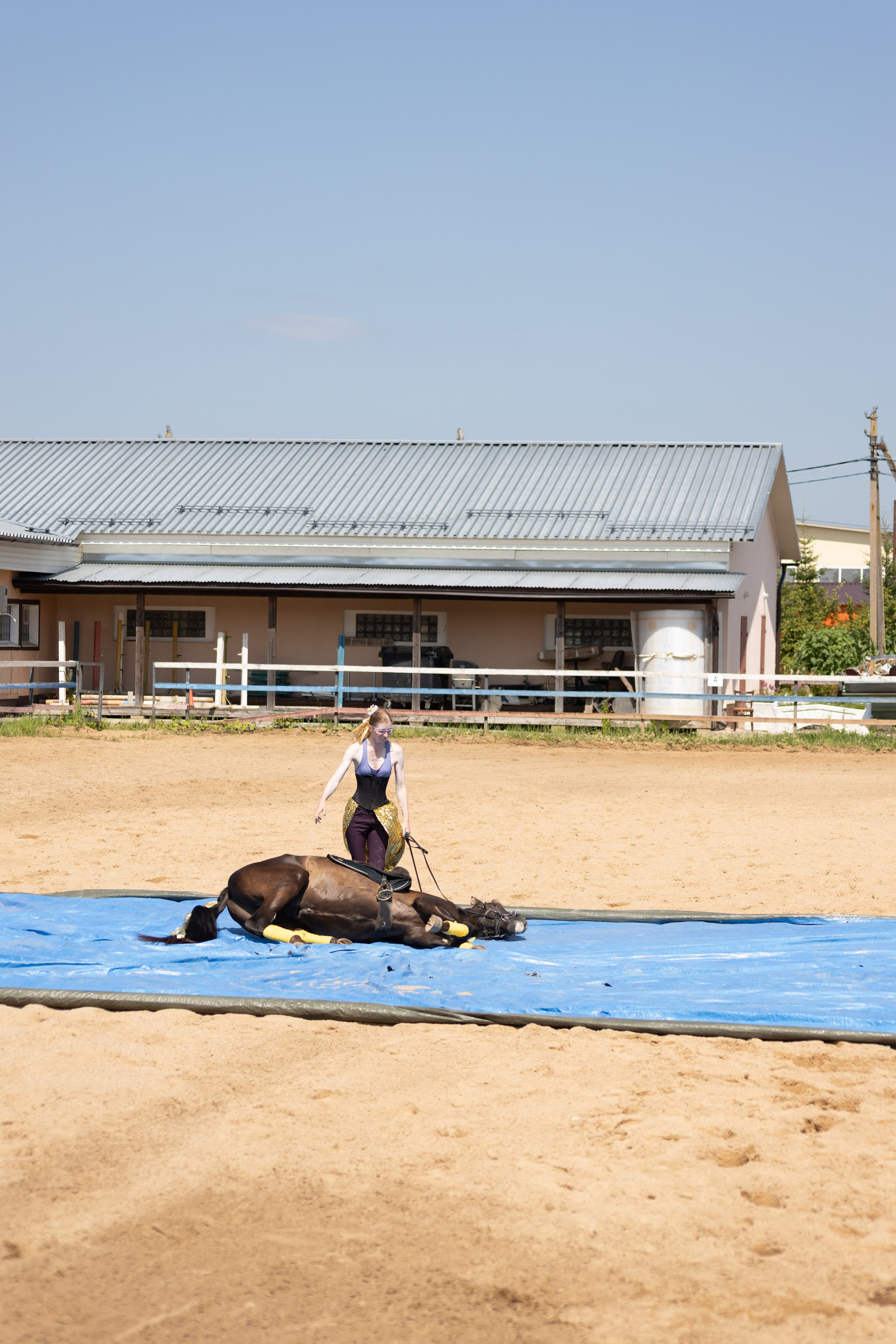 Конюшня. Фотограф в Москве и Истре