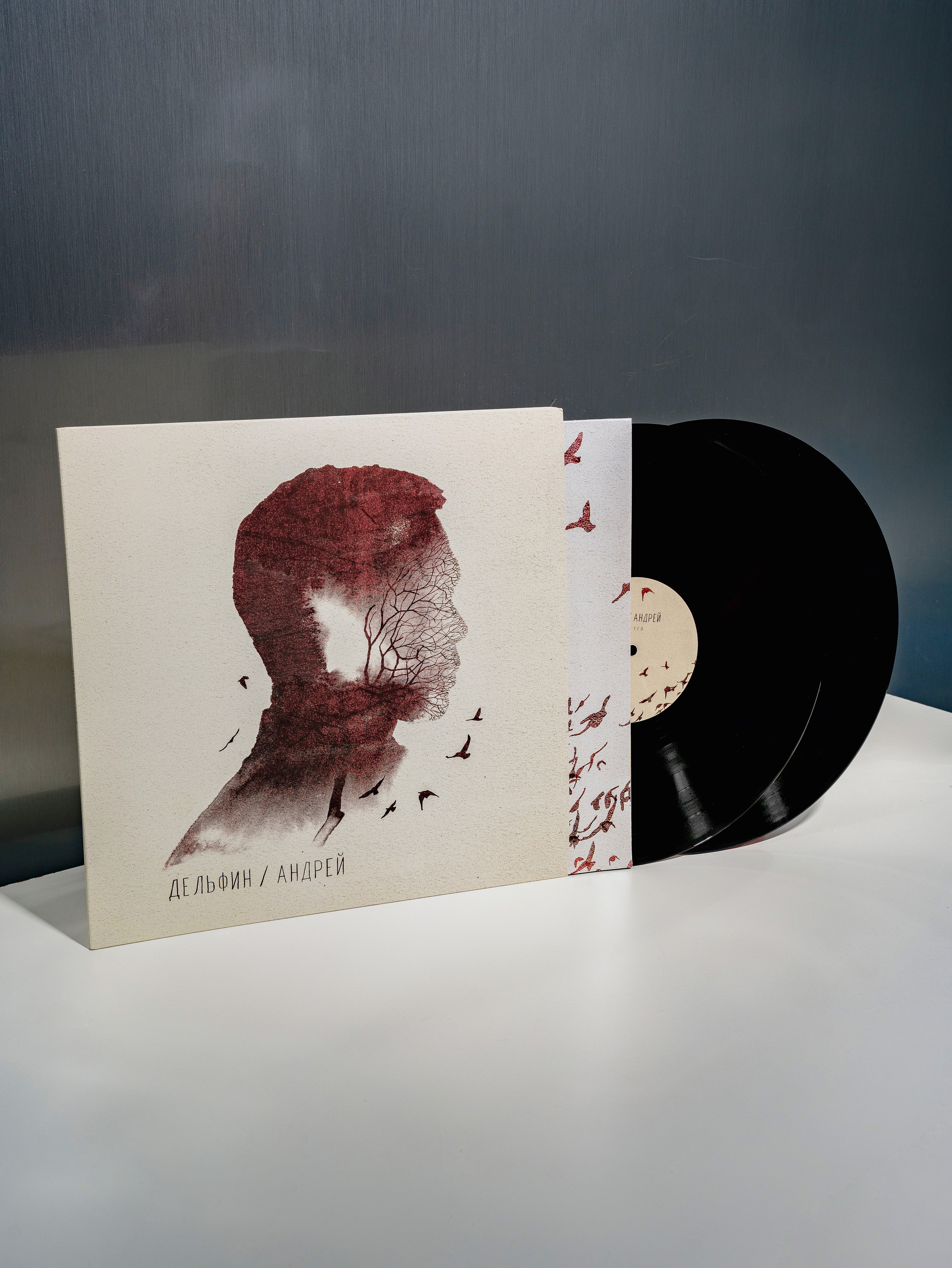 Дельфин. Портретный фотограф Москва Белогорцев Сергей