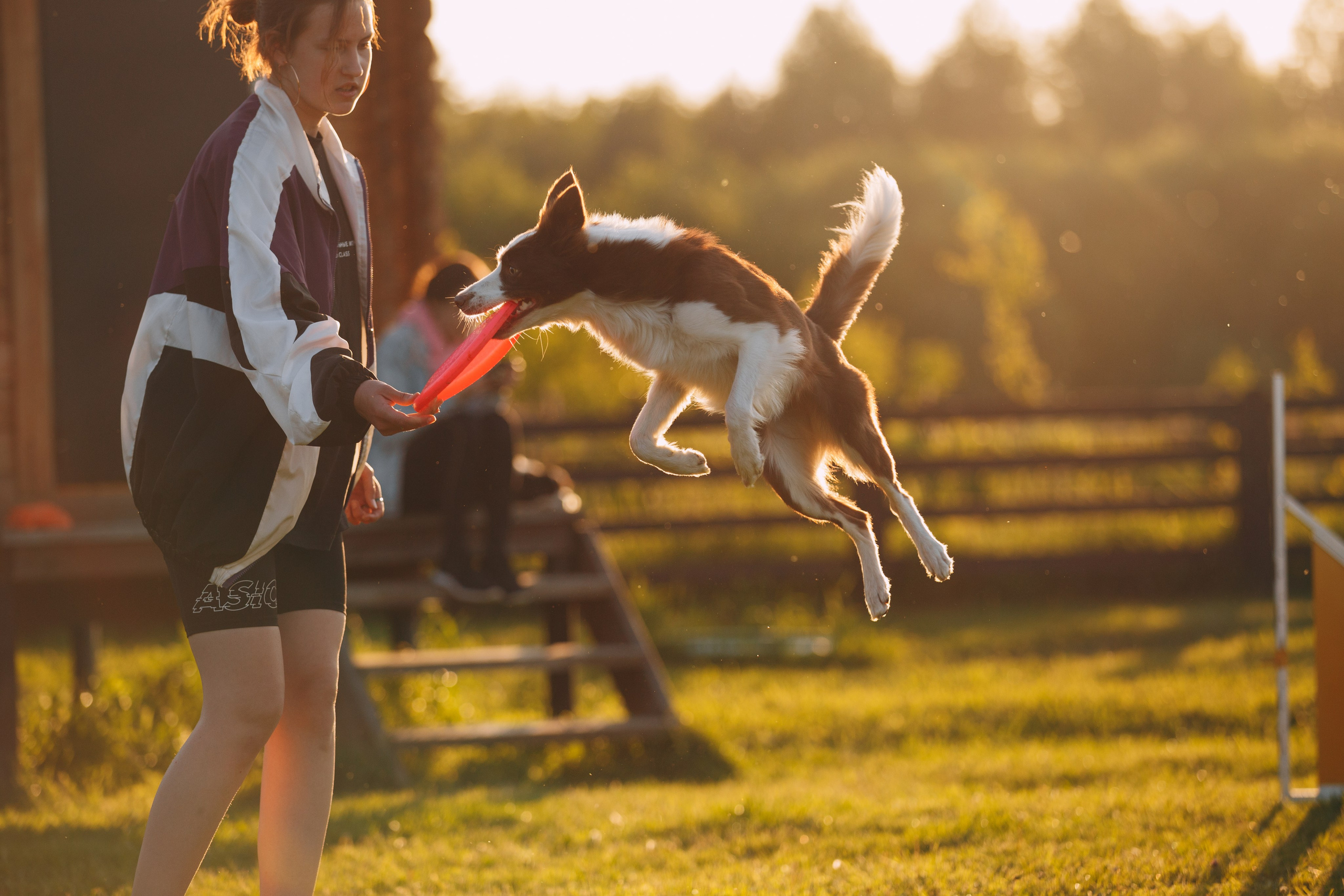 Кинологический лагерь в Горыныче. Фотограф анималист Кристина Карпова, Москва