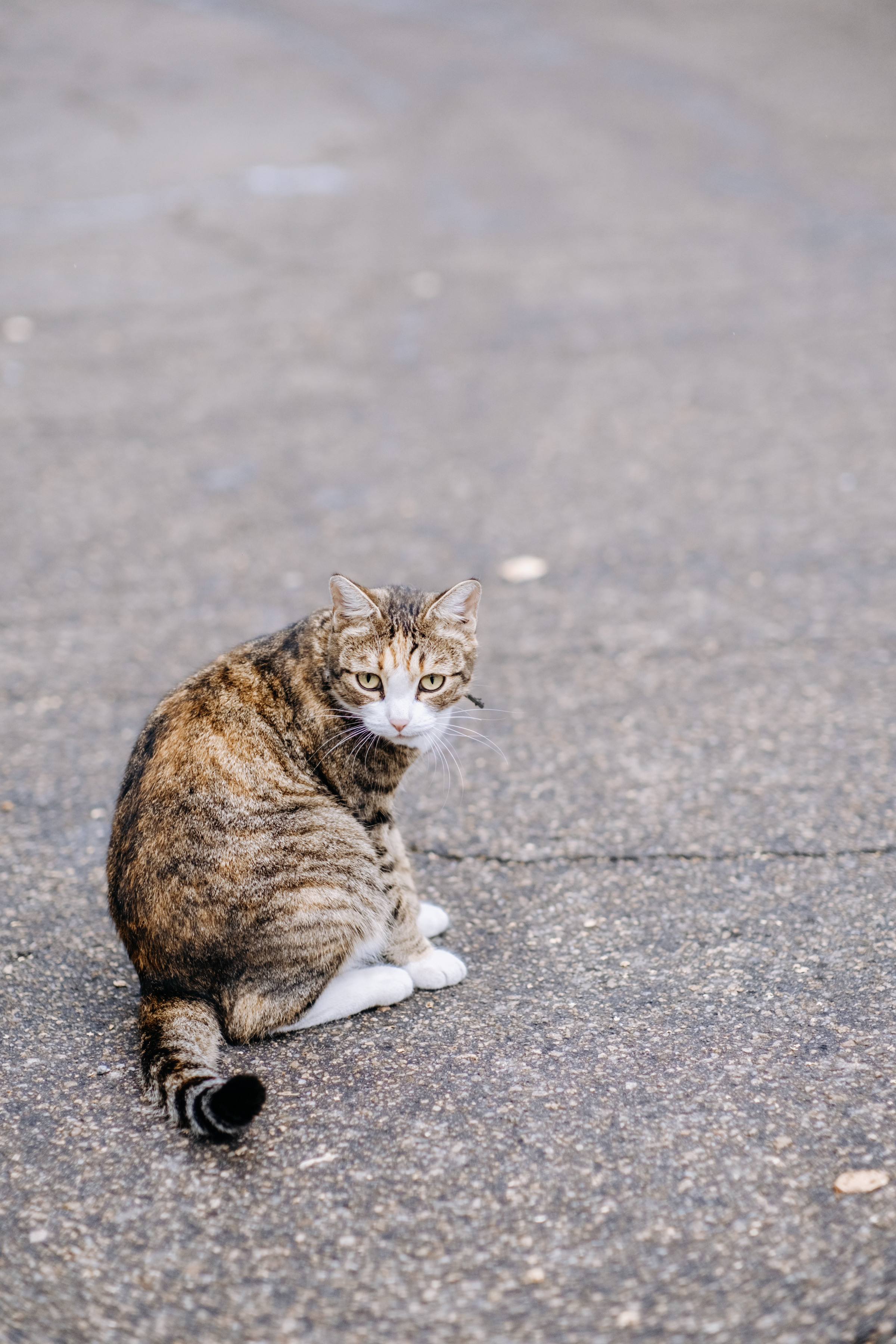 Дождь. Сентябрь. Чувства. Свадебный и семейный фотограф Барнаул Рубцовск Бийск Алтайский край