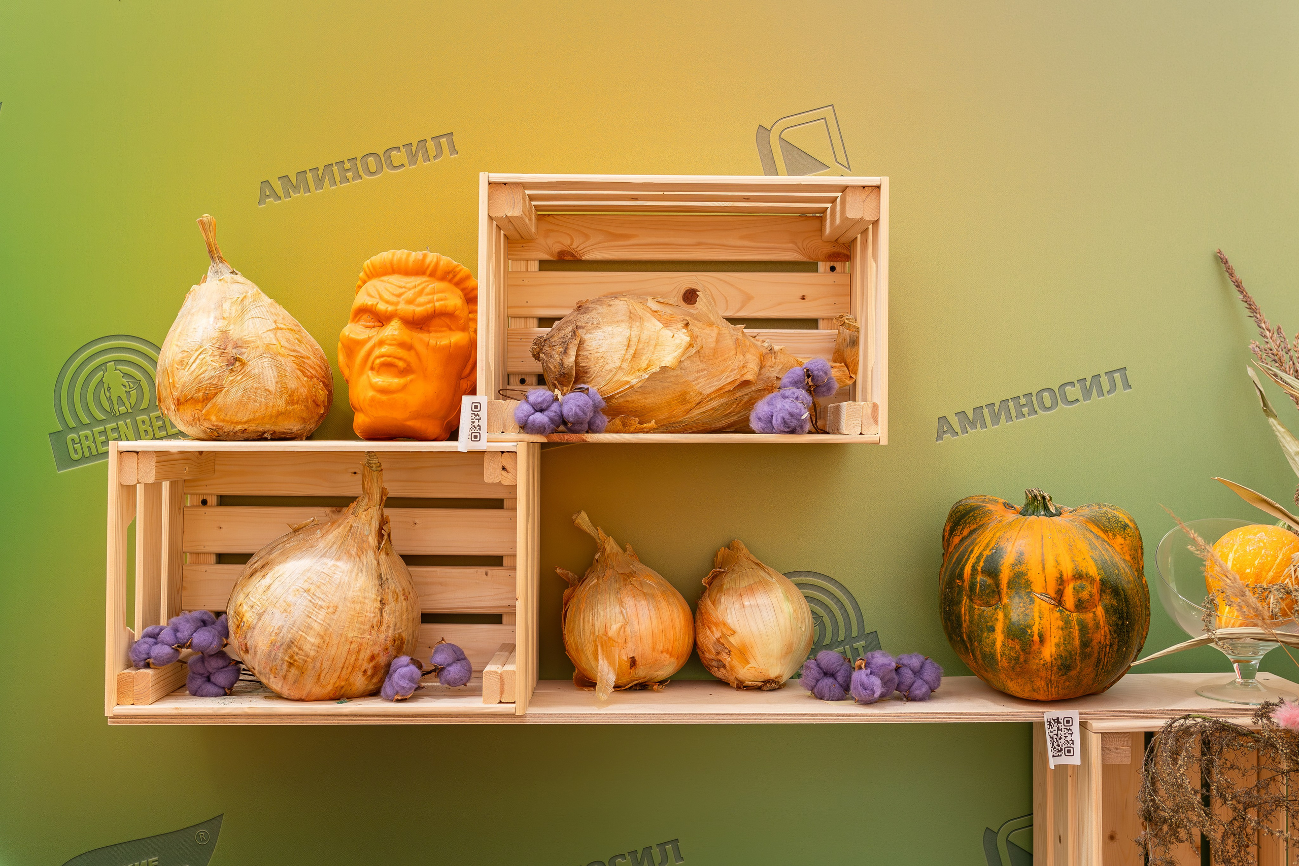 Овощи-гиганты. Александра Куликова фотограф, Москва