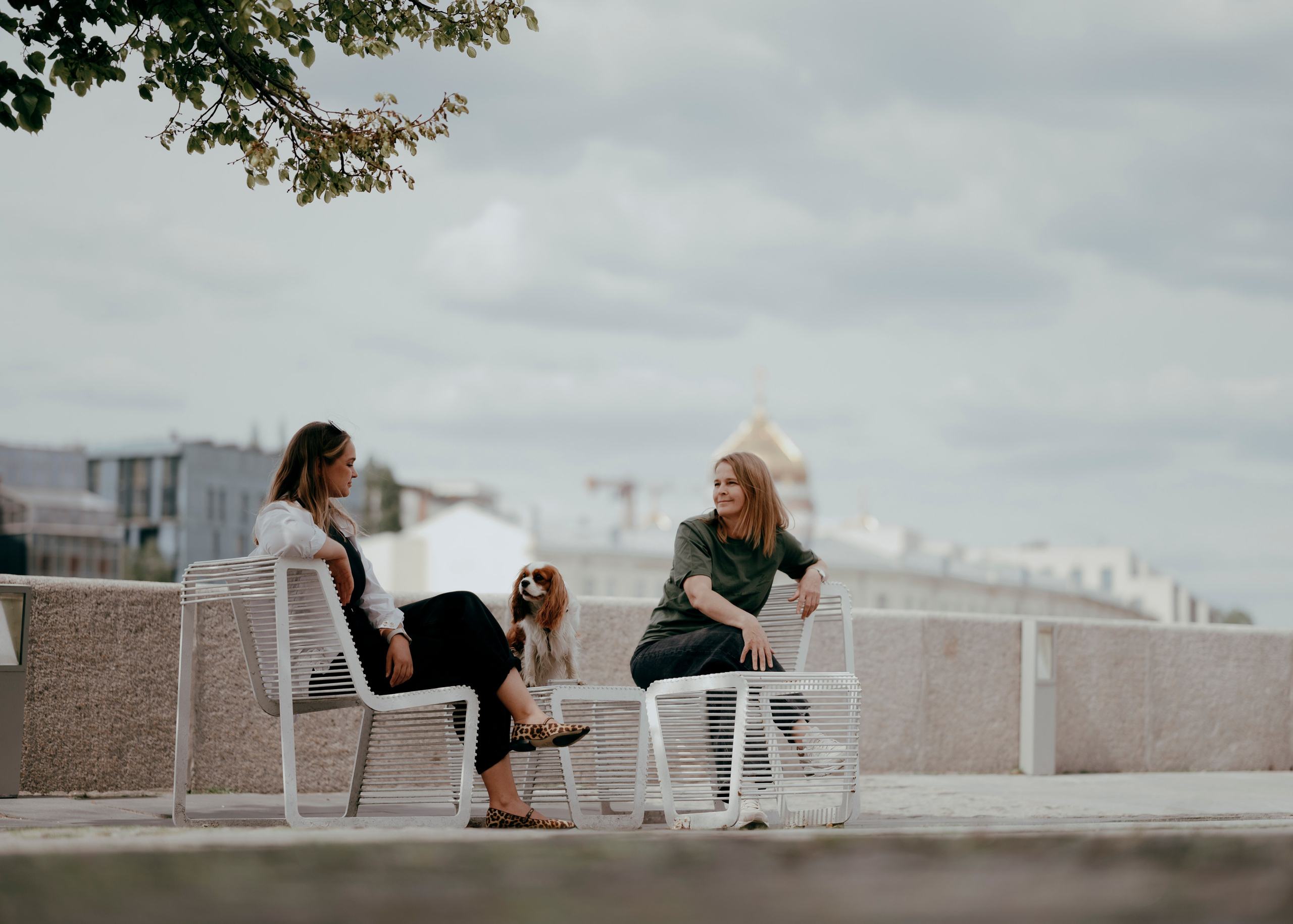 Дольче. Фотограф- анималист Александра Матвеева