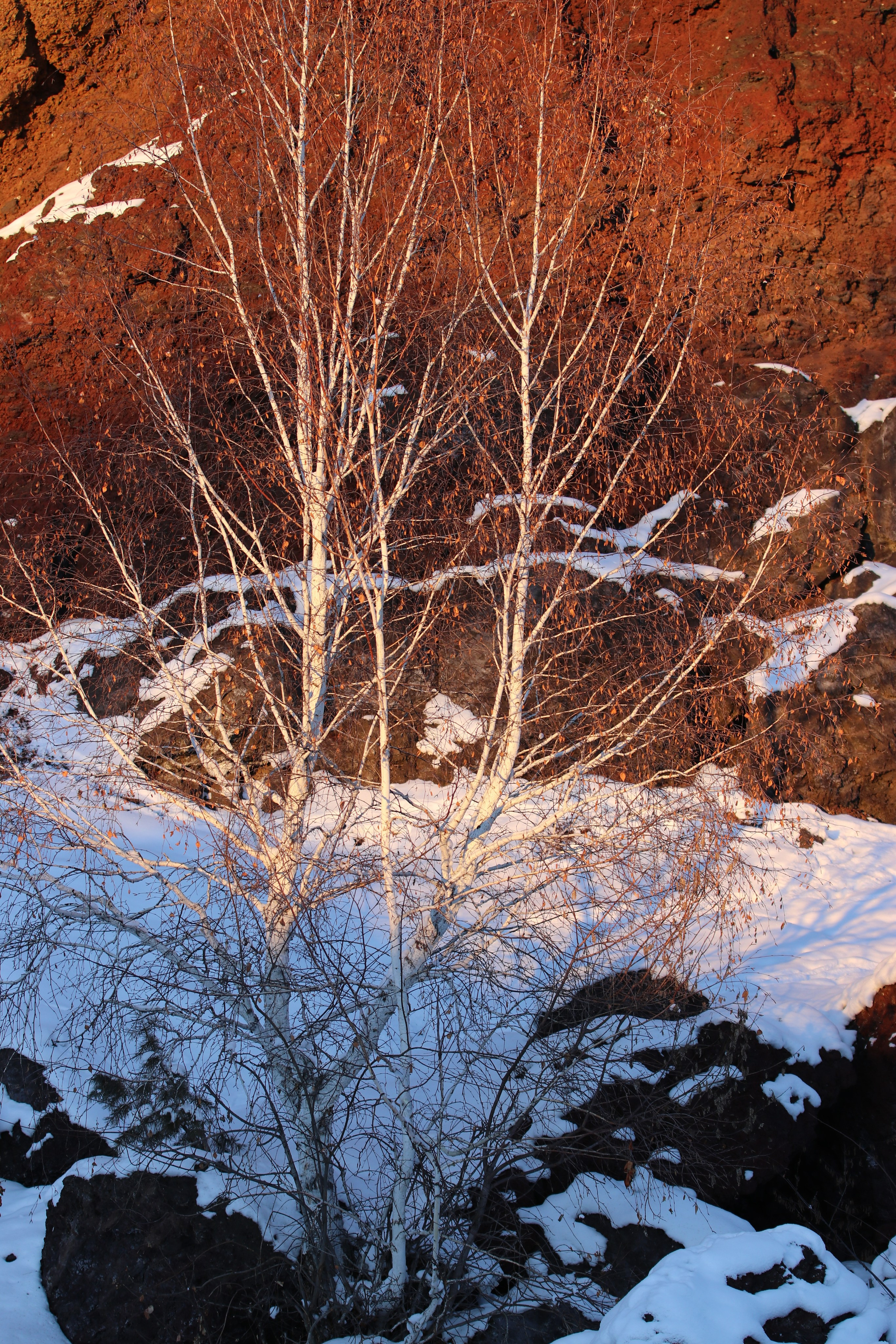 Аршан. Январь 2022. Путешественник-фотограф из Санкт-Петербурга Татьяна Свистулина