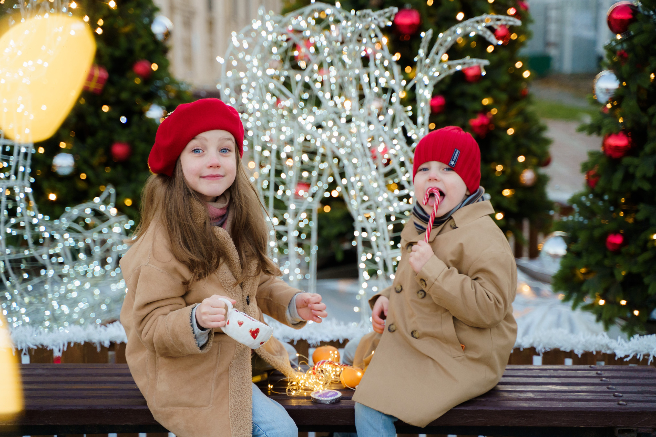 Новогодние. Елена Луковская. Семейная, портретная, репоражная съёмка
