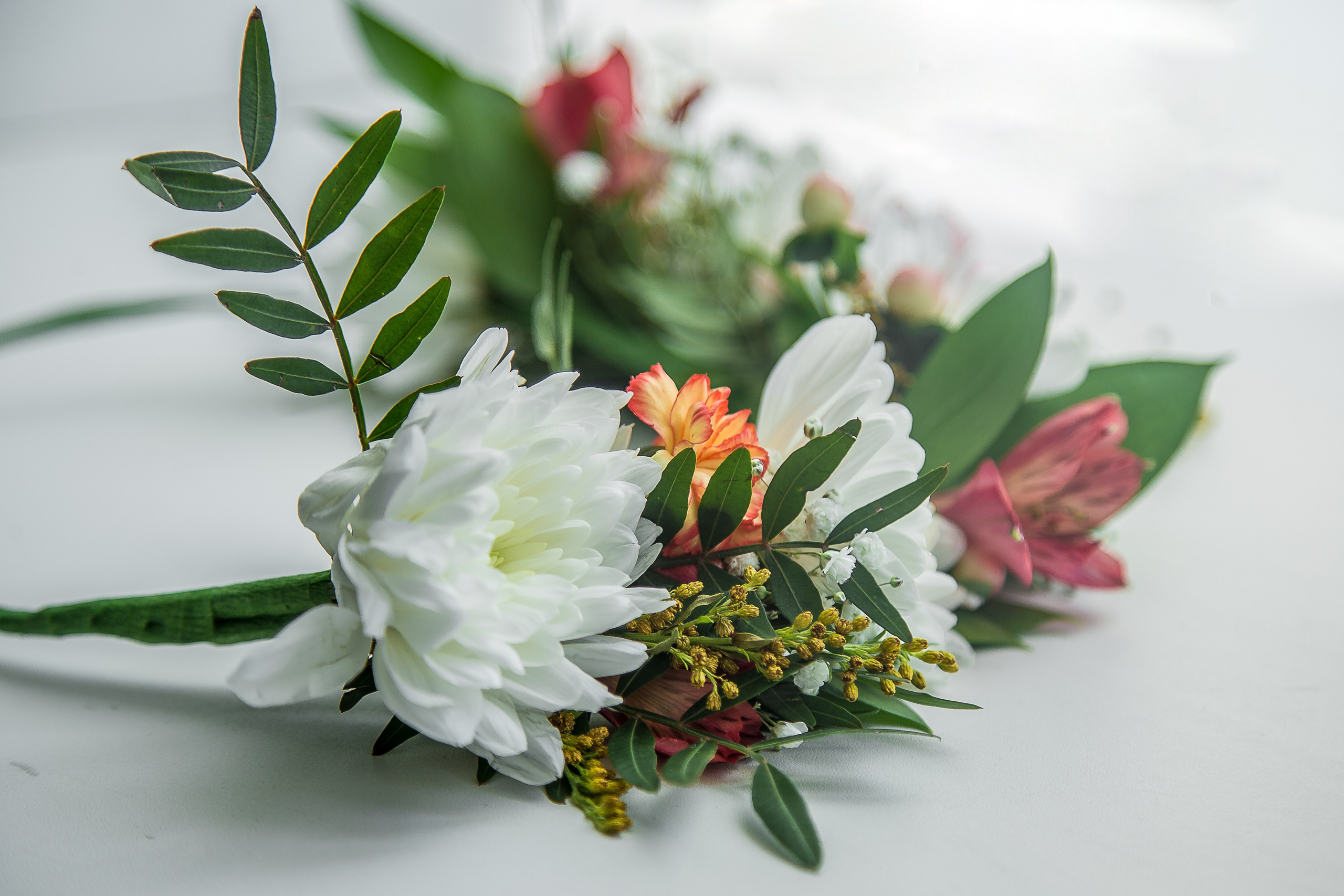 Предметная съёмка. Фотограф в Самаре Вера Тренина