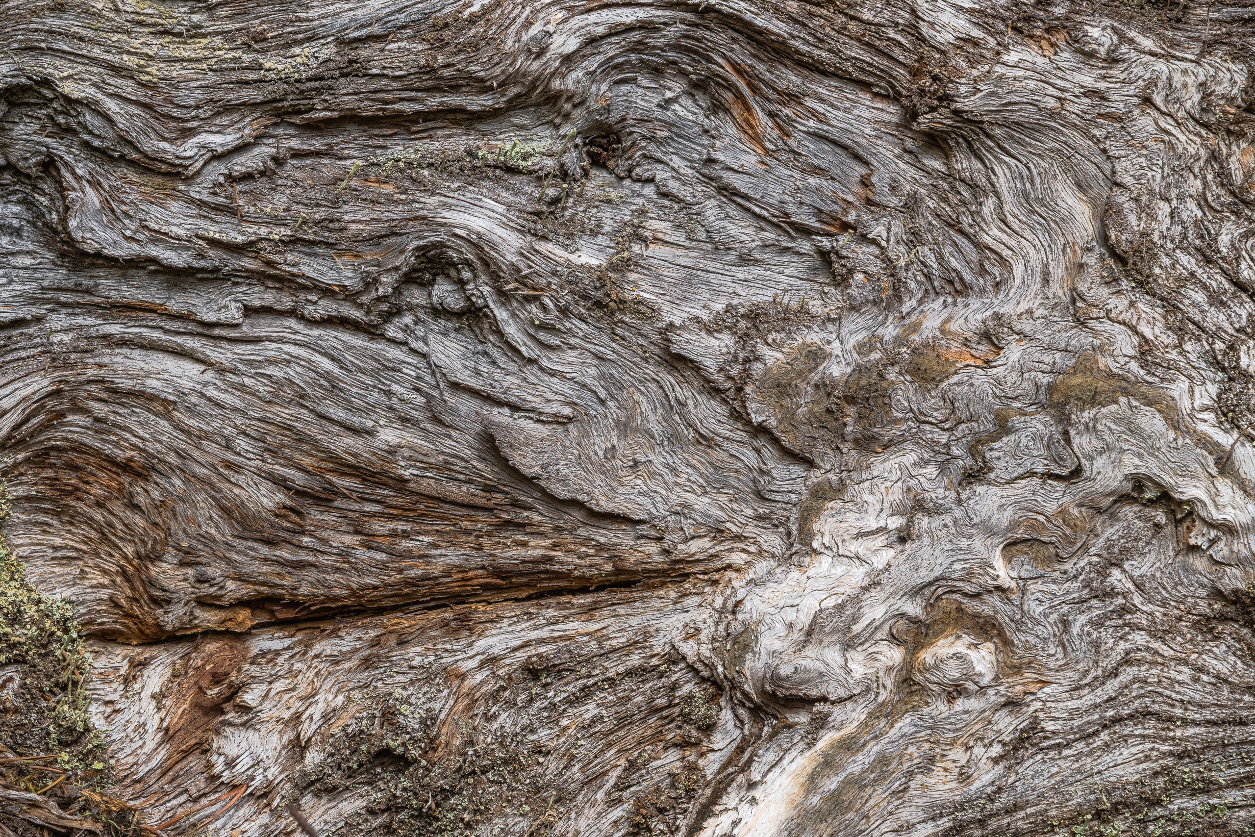 Весна. Северные Ночи