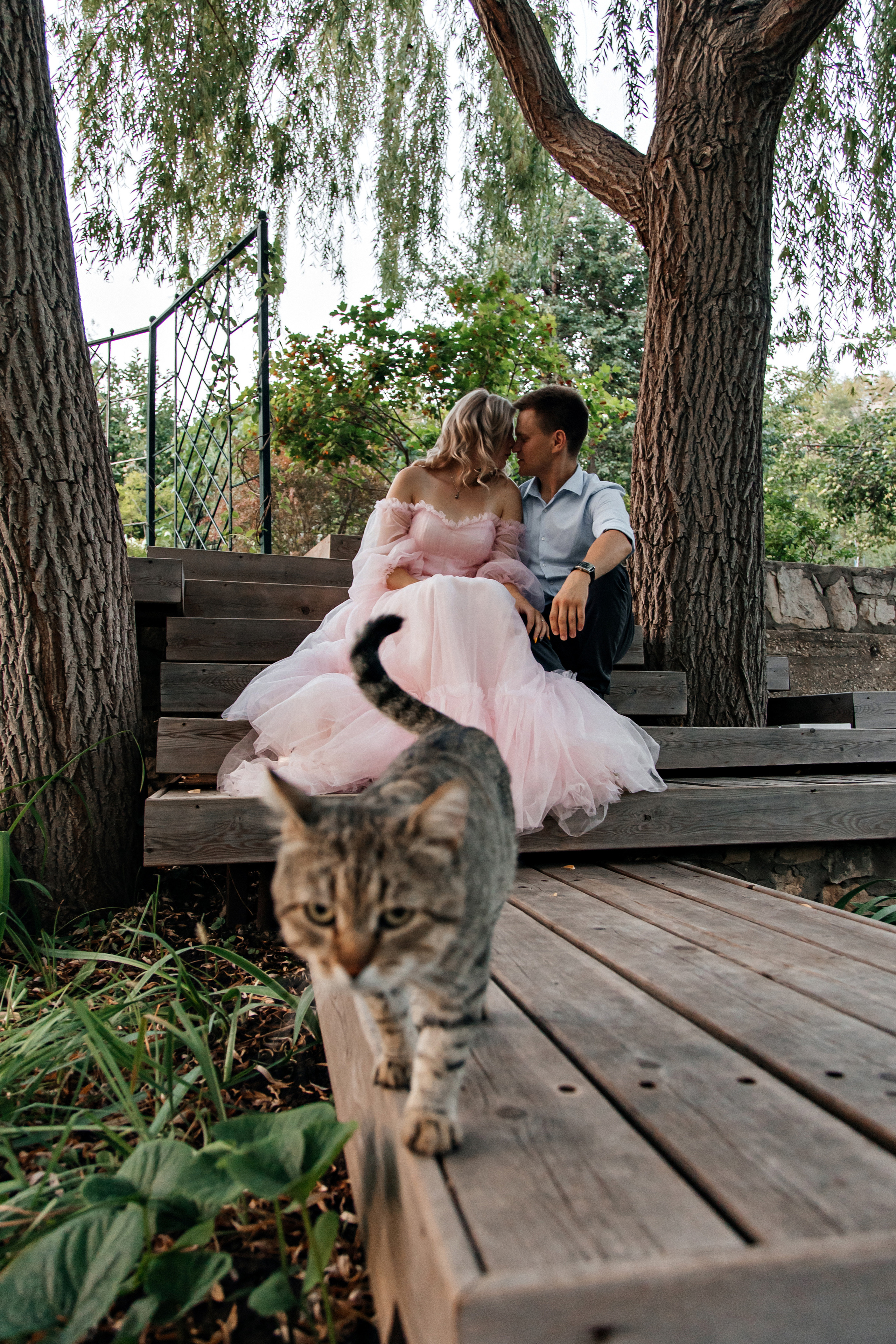 Love story «Twilight and cats». Свадебные фотограф и видеограф Наталья и Анатолий Новиковы СПб