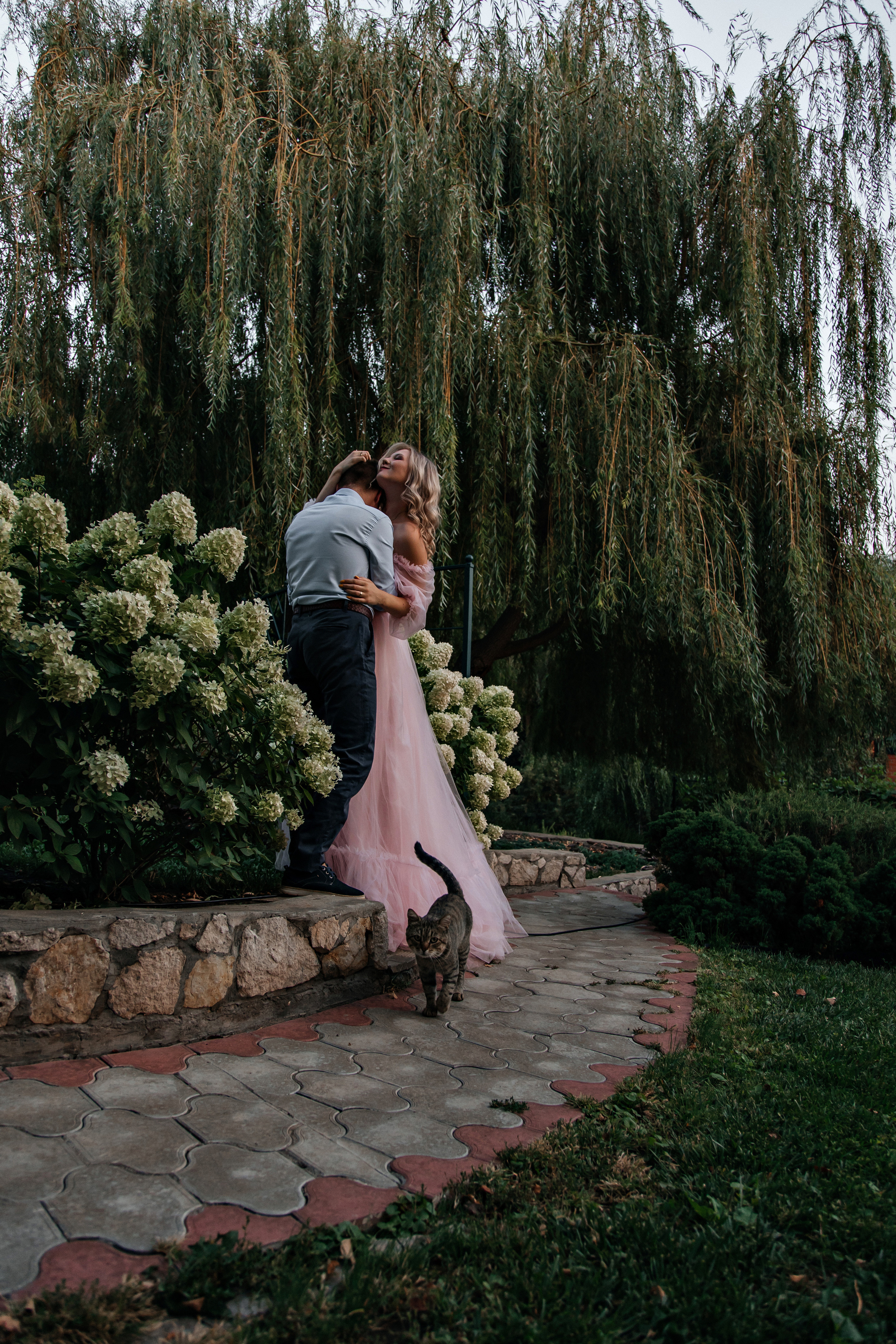 Love story «Twilight and cats». Свадебные фотограф и видеограф Наталья и Анатолий Новиковы СПб