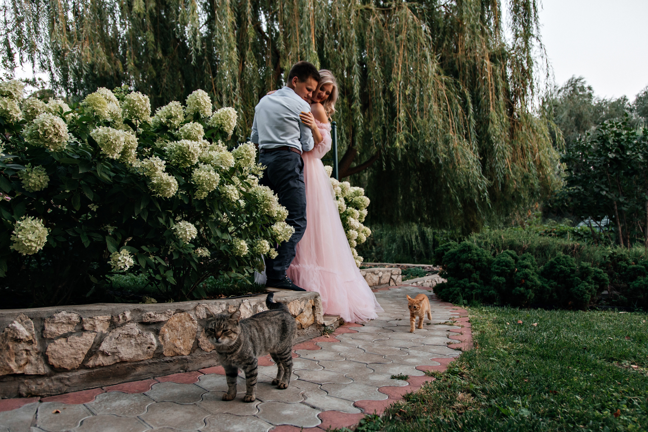 Love story «Twilight and cats». Свадебные фотограф и видеограф Наталья и Анатолий Новиковы СПб