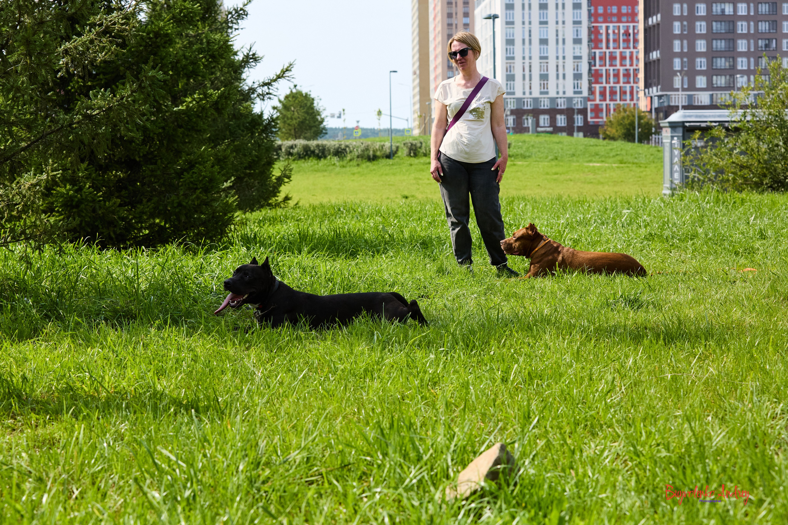 Проект фотопрогулка с хвостиком. Buyvolenko Andrey