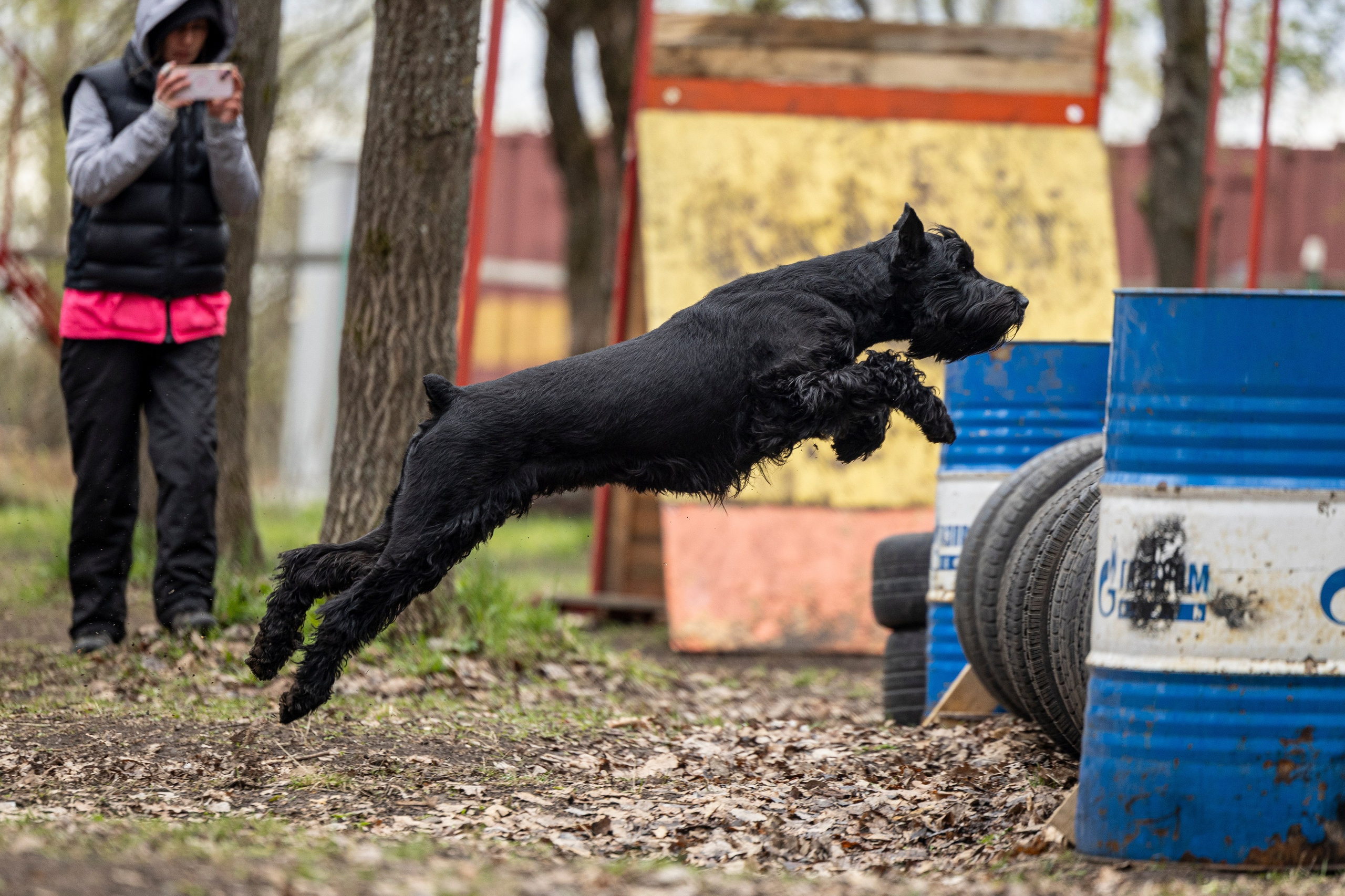 Квалификационные состязания по мондьорингу г. Вологда 11.05.24. Фотограф-анималист Анна Маринич