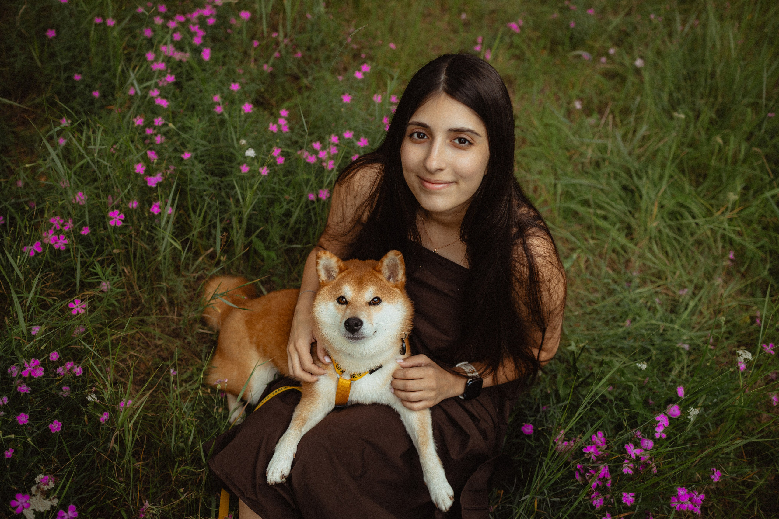 Выездной дог-тренинг от школы «Шерсть имею»