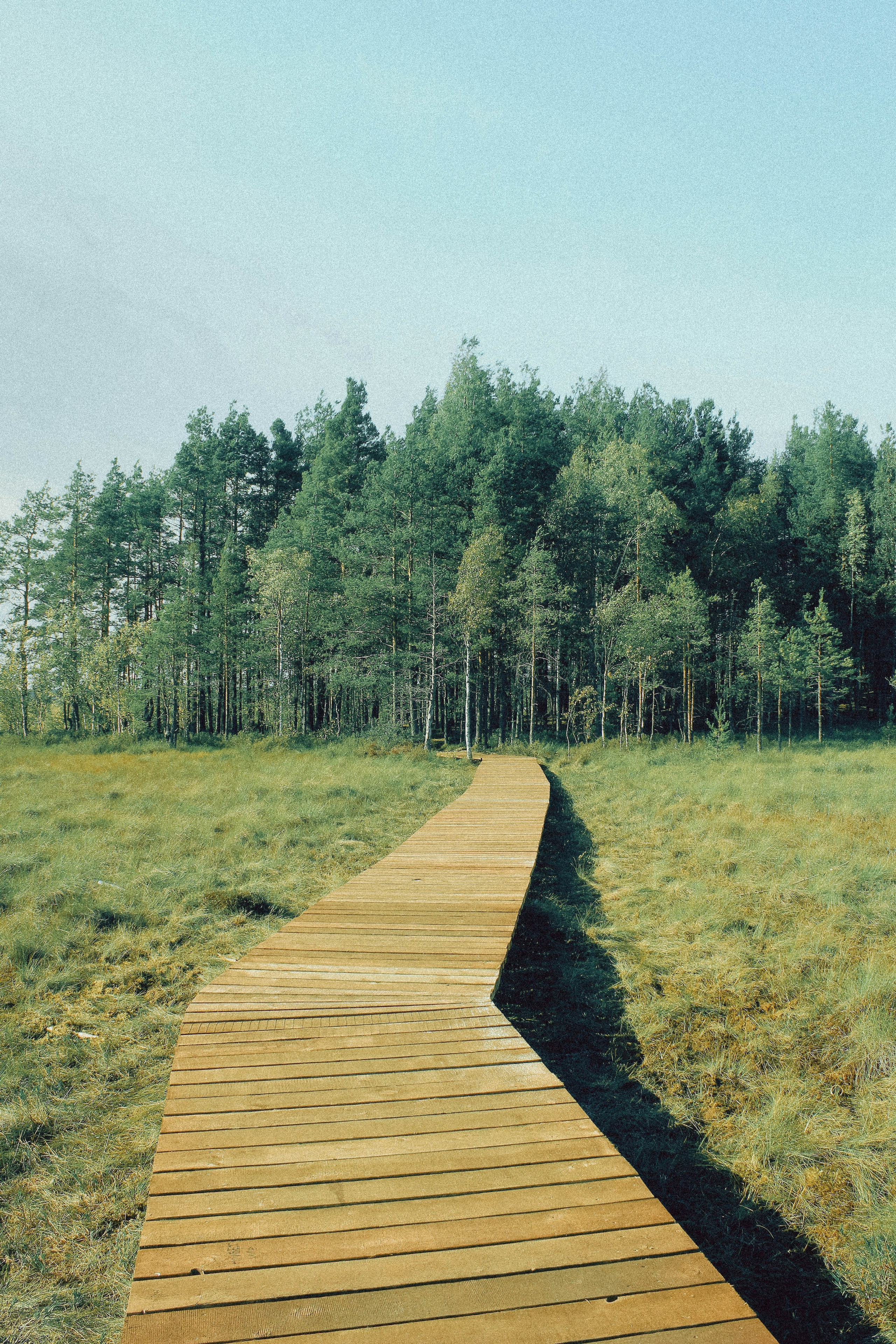 ПРИНТЫ. Виктория Князева| фотограф из Санкт-Петербурга