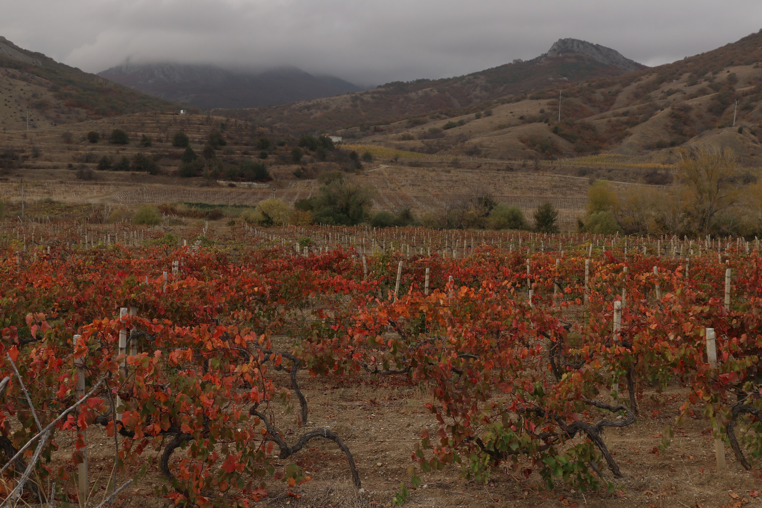 Крым. ЮБК (Гурзуф, Судак и их окрестности). Ноябрь 2023. Путешественник-фотограф из Санкт-Петербурга Татьяна Свистулина