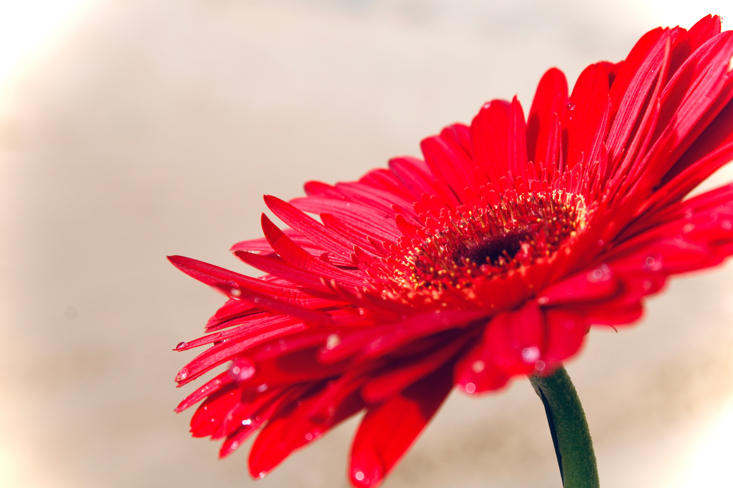 VOVA. Портретный фотограф Тольятти