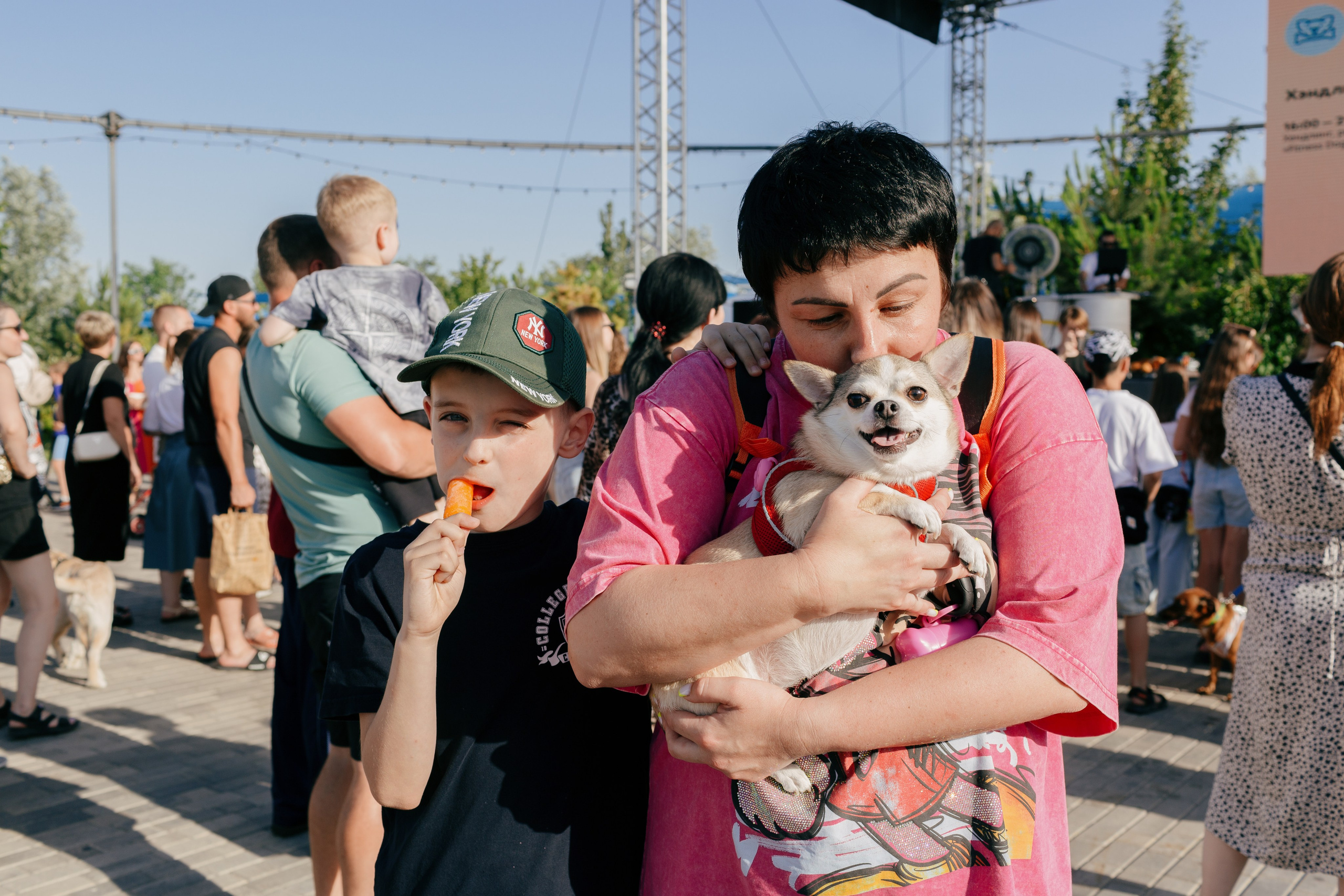 Dog Fest 2024. Главная