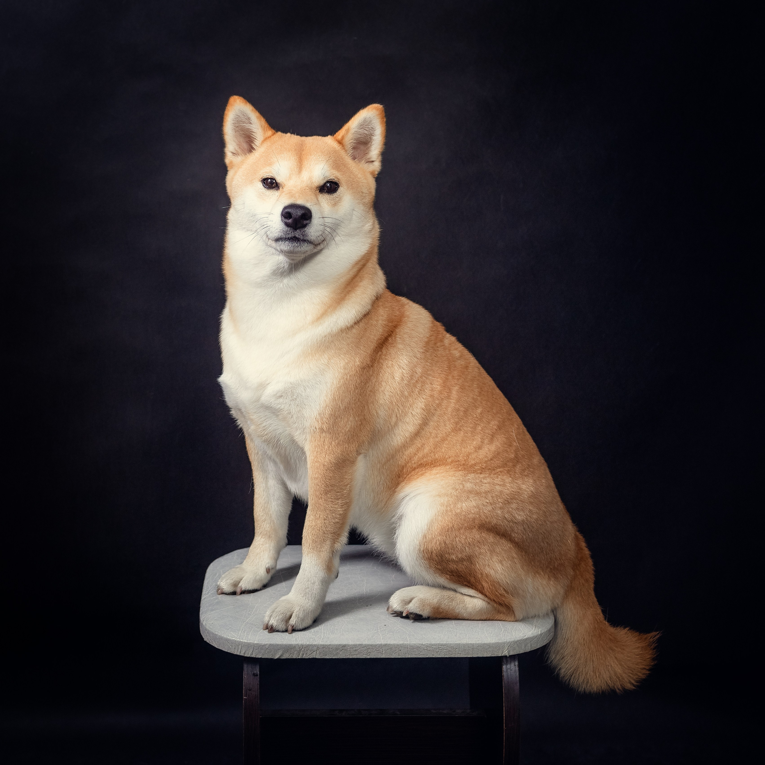 Семья Анны. Инга Кузьминская ТОП-фотограф г. Корсаков