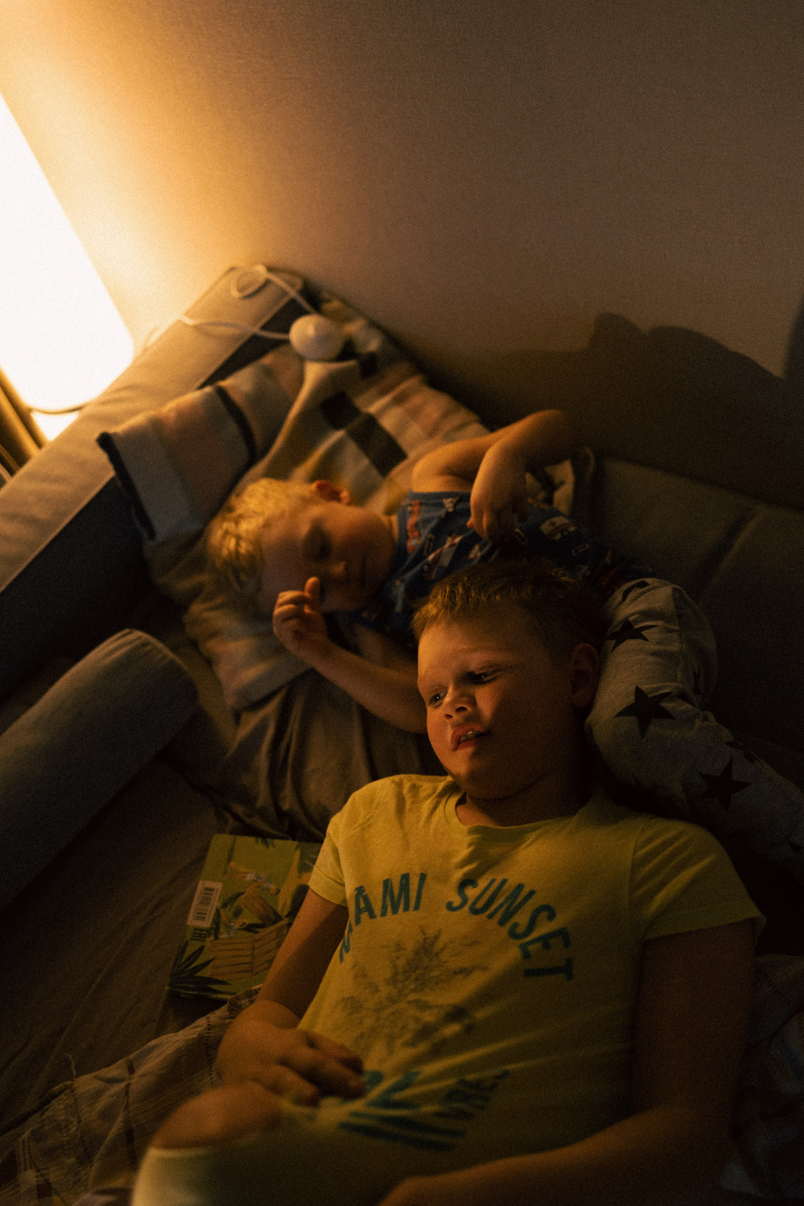 Мальчишки. Фотограф анималист в Москве Майорова Евгения