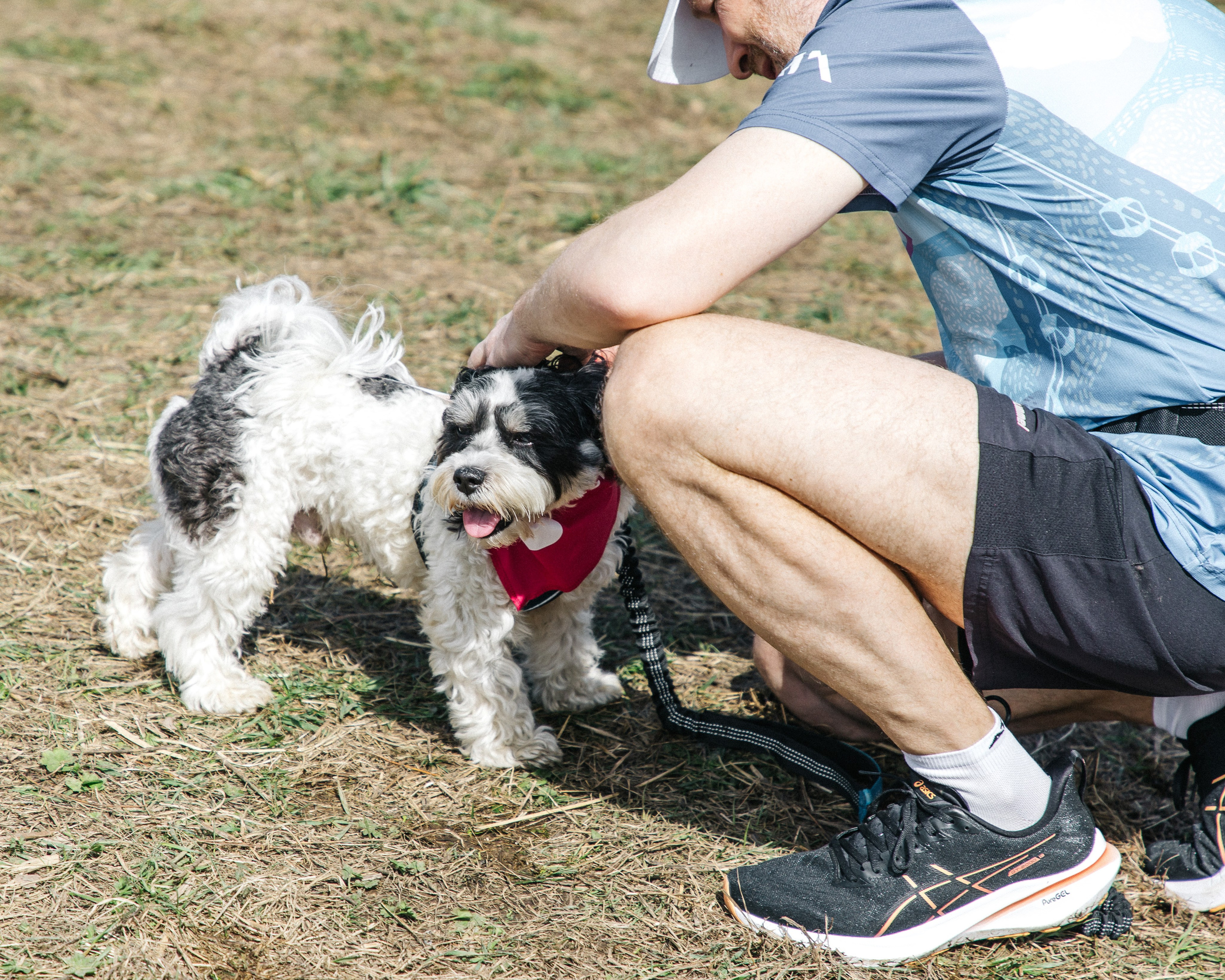 Кросс «Быстрый пёс» 2025. Репортажный фотограф в Москве