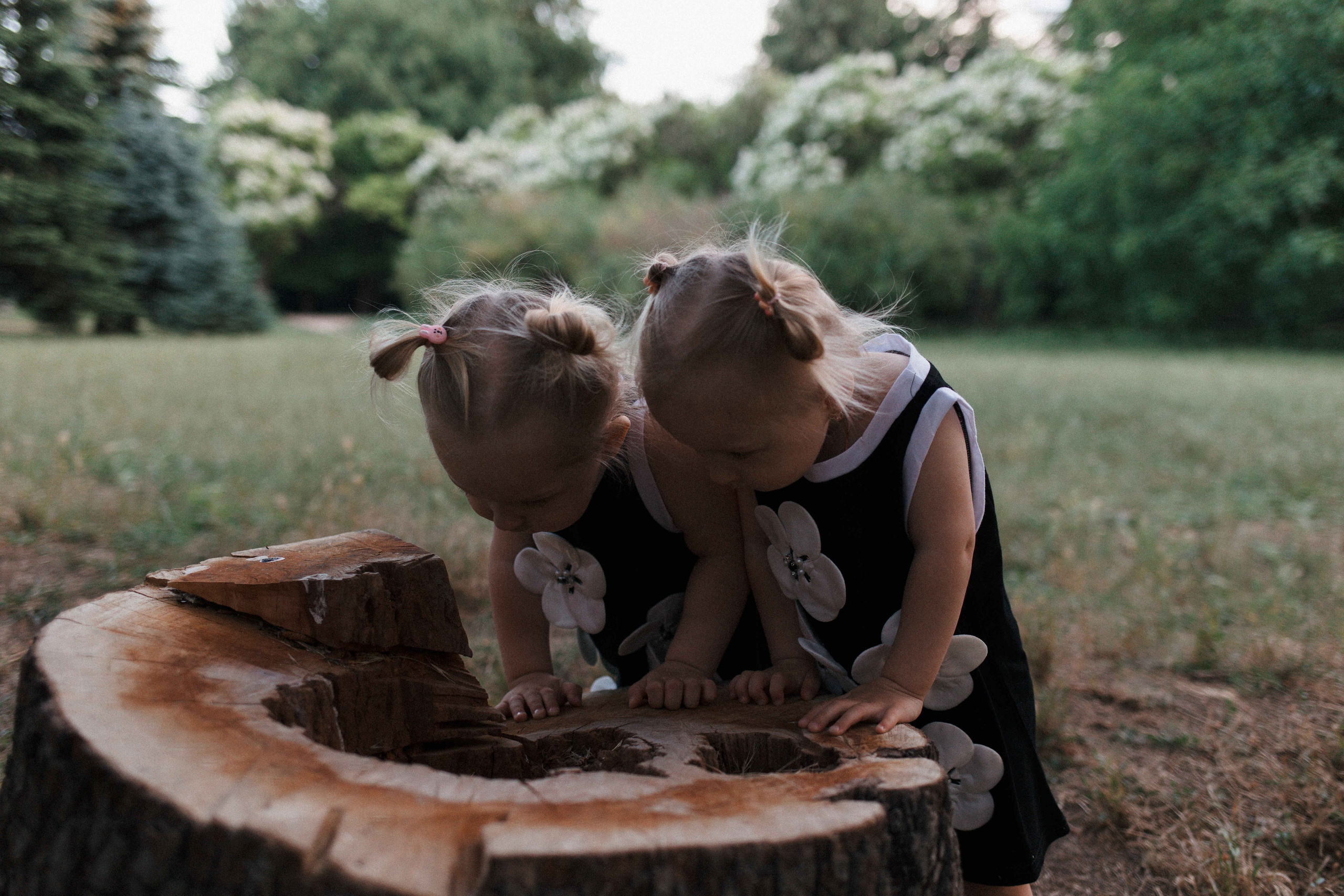 Вечер, парк, семья). Свадебный фотограф Мироманов Николай в Крыму