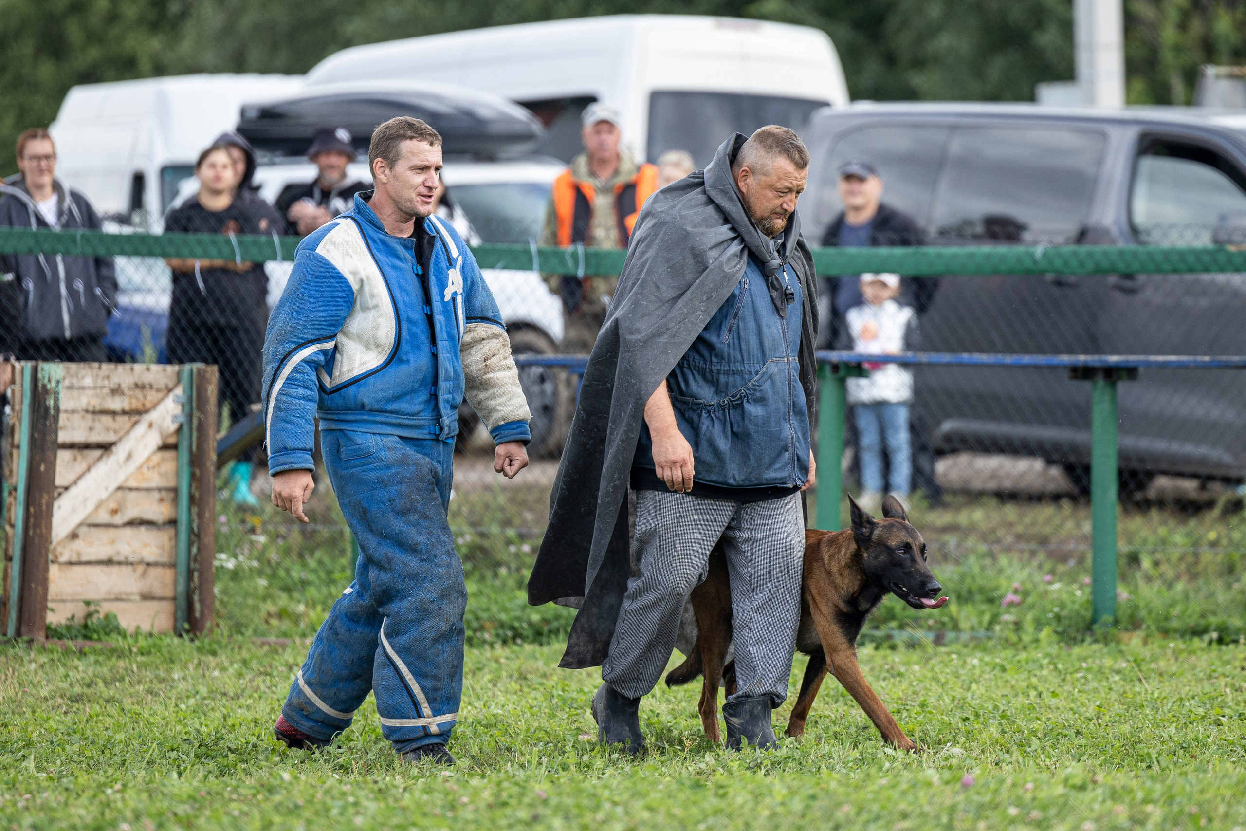 Соревнования по Мондьорингу г. Вологда 10-11.08.2024. Фотограф-анималист Анна Маринич