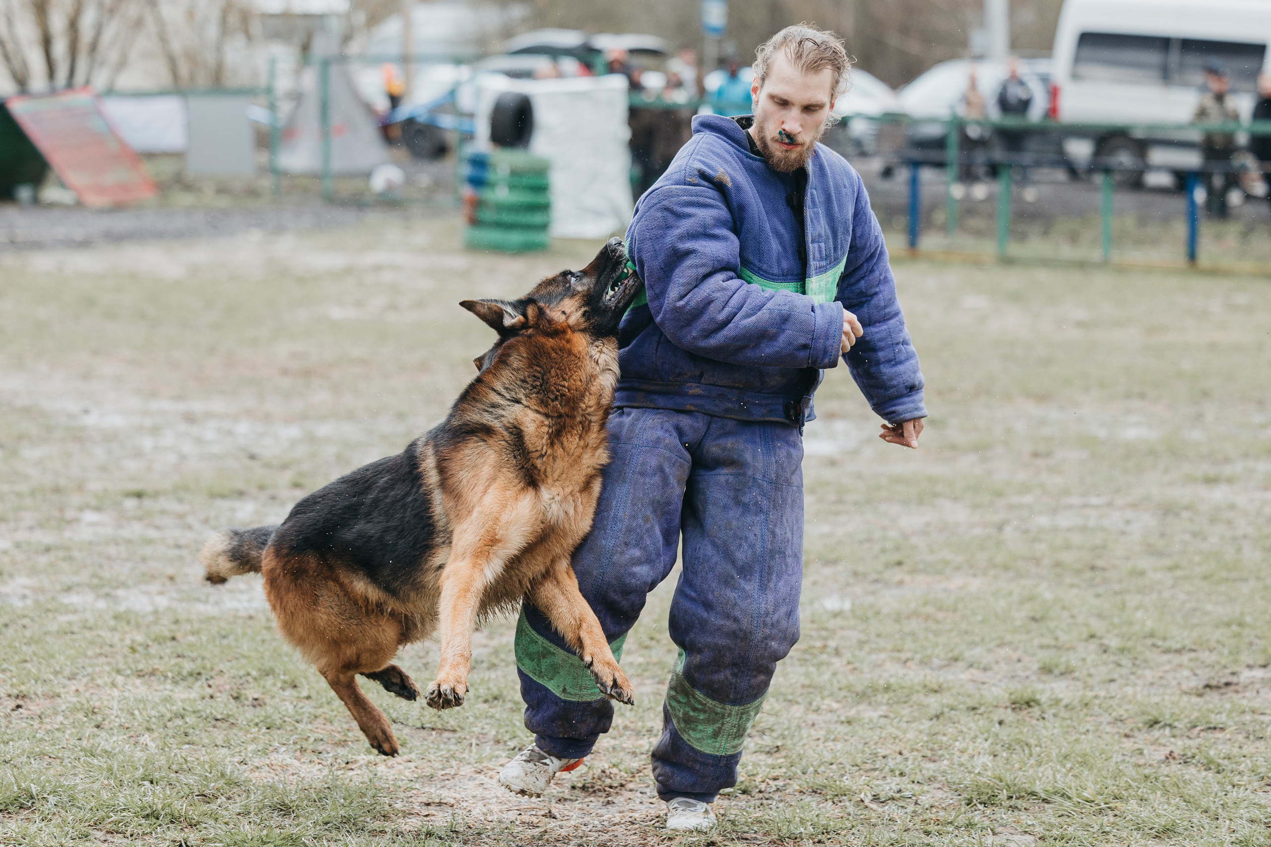 09.05.25 Вологда соревнования. Фотограф-анималист Анна Маринич