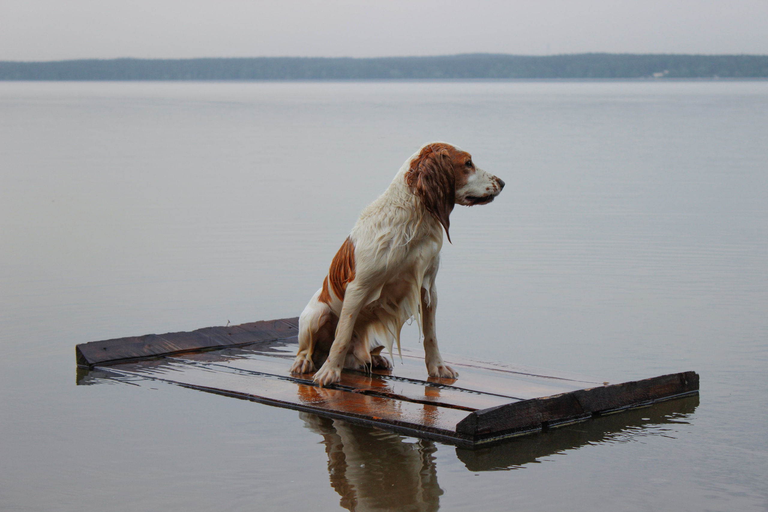 Nature. Фотохудожник Мила Мокина-Хайруллова. Екатеринбург
