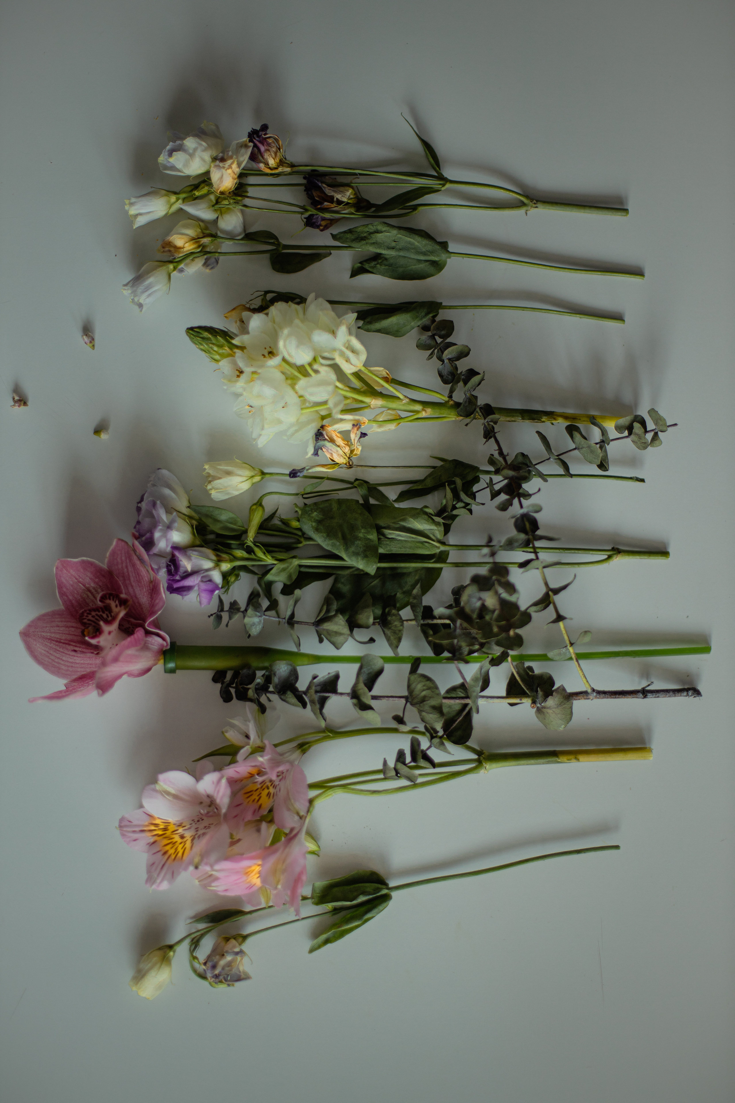 Still-life. Фотохудожник Мила Мокина-Хайруллова. Екатеринбург