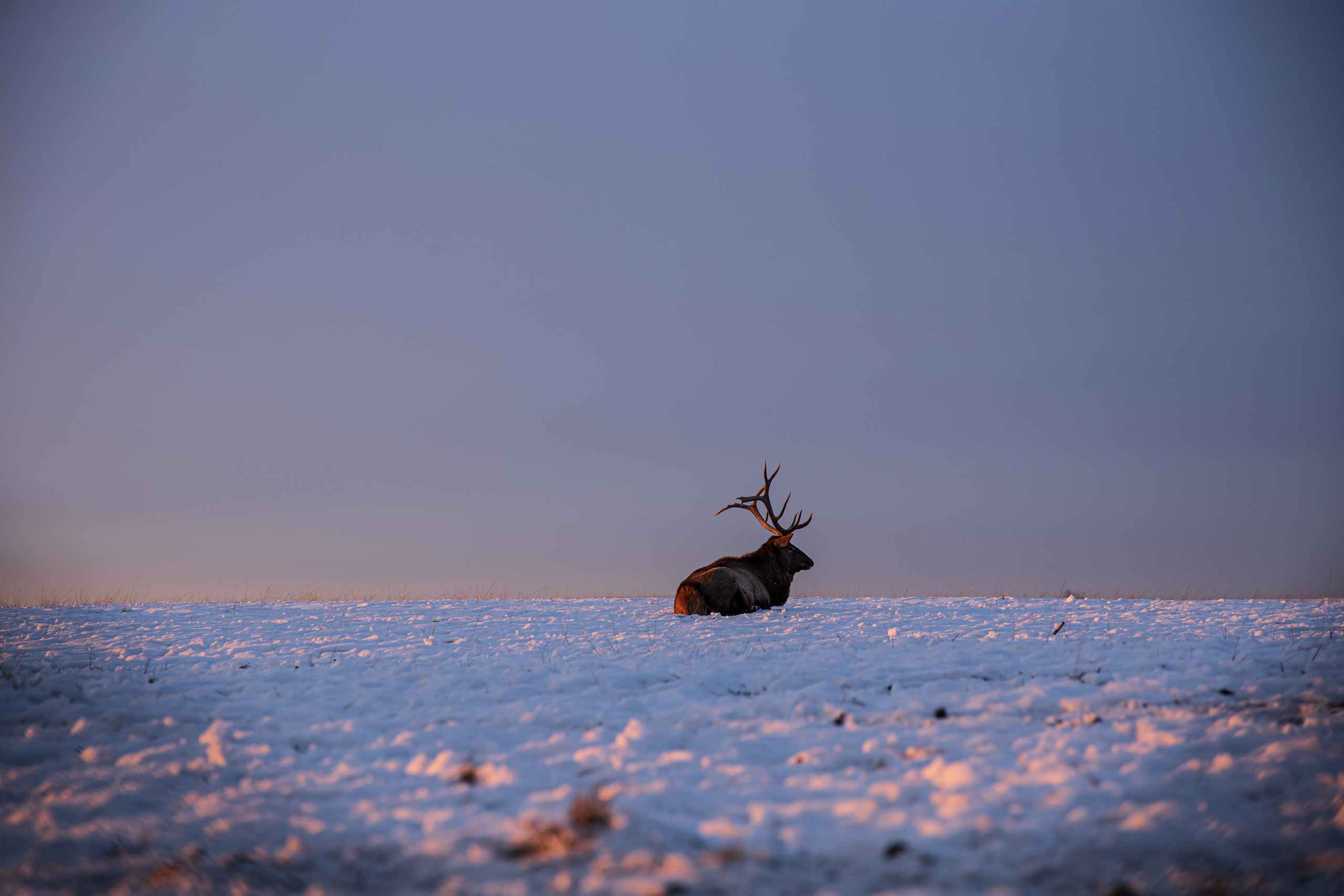 Nature. Фотохудожник Мила Мокина-Хайруллова. Екатеринбург