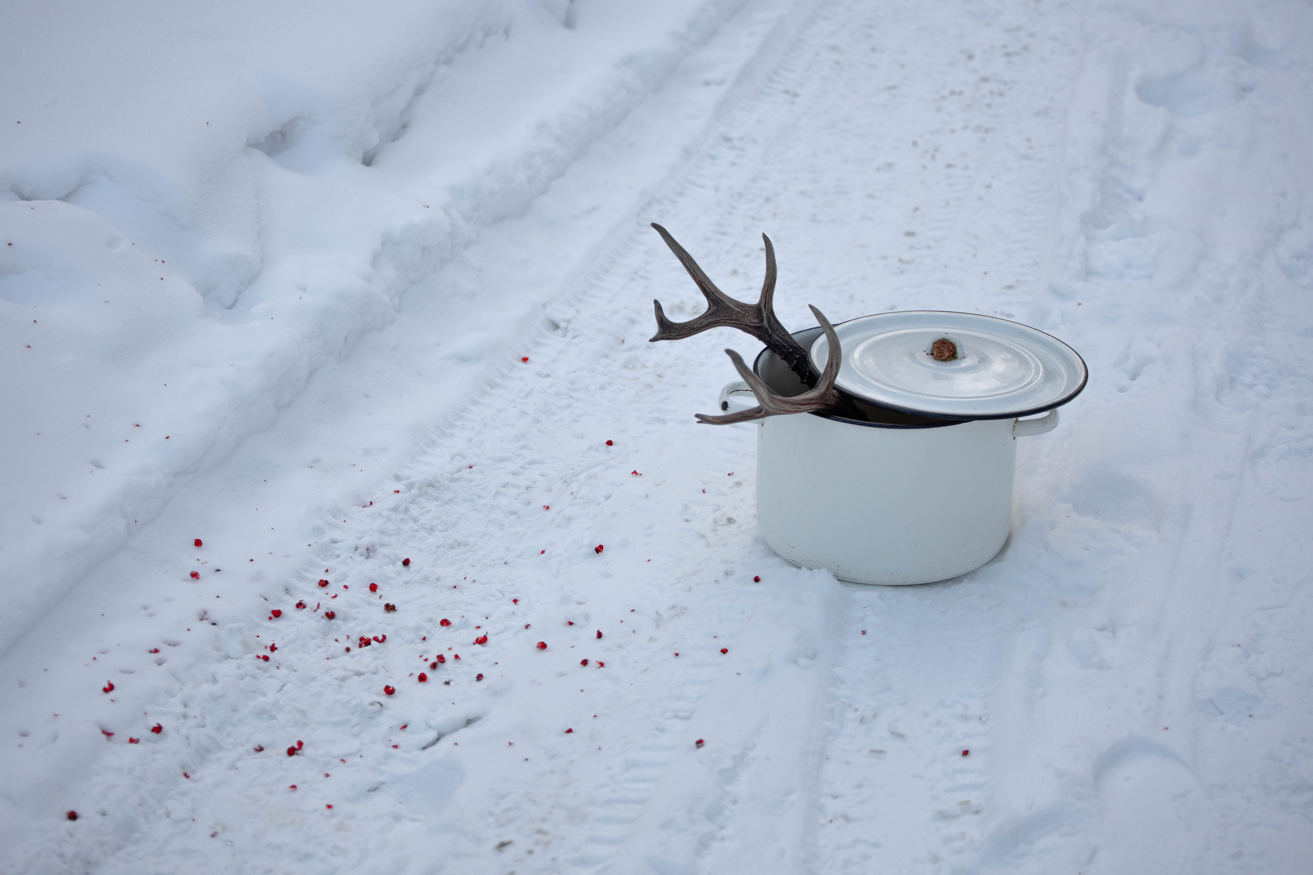 Still-life. Фотохудожник Мила Мокина-Хайруллова. Екатеринбург