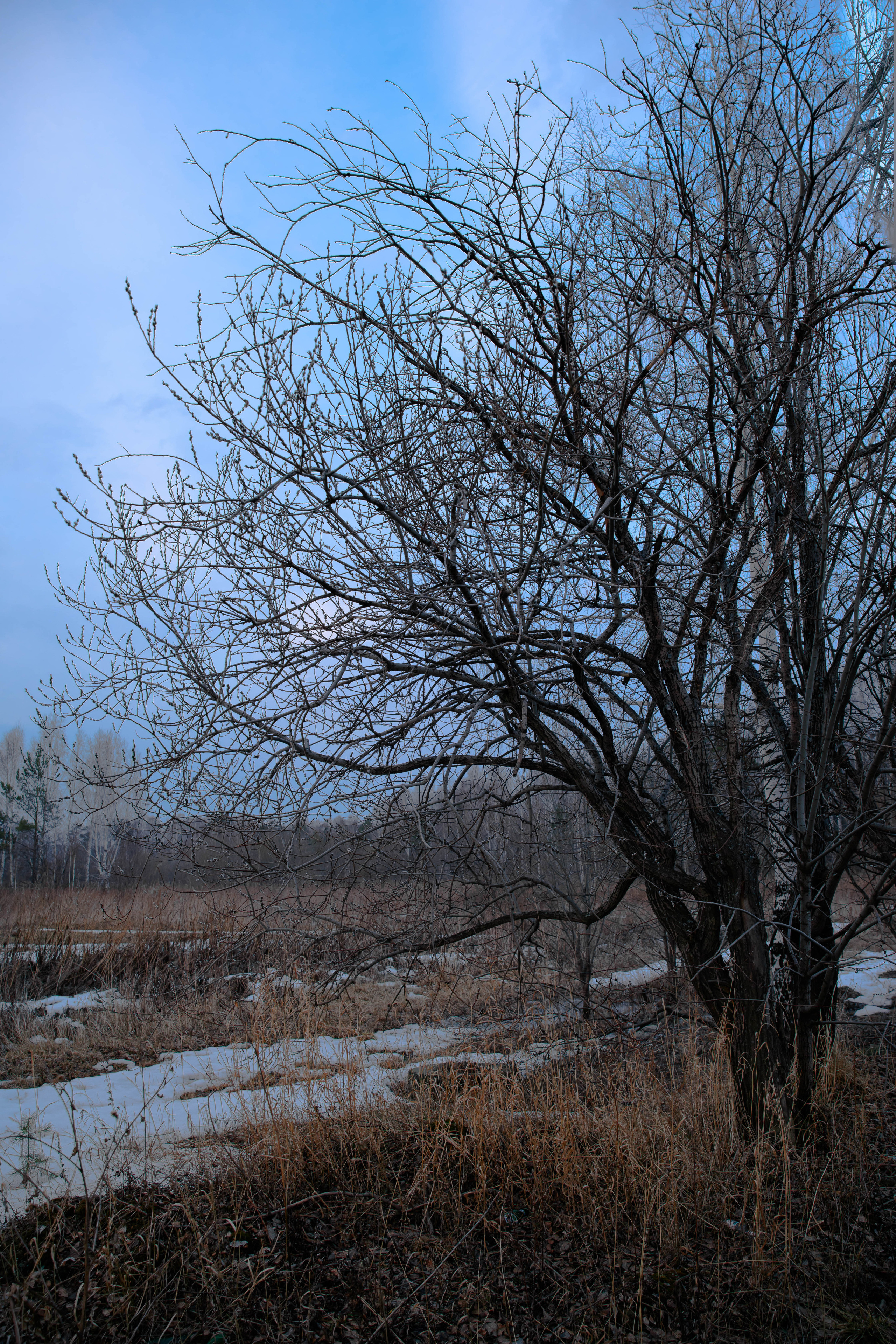 Nature. Фотохудожник Мила Мокина-Хайруллова. Екатеринбург