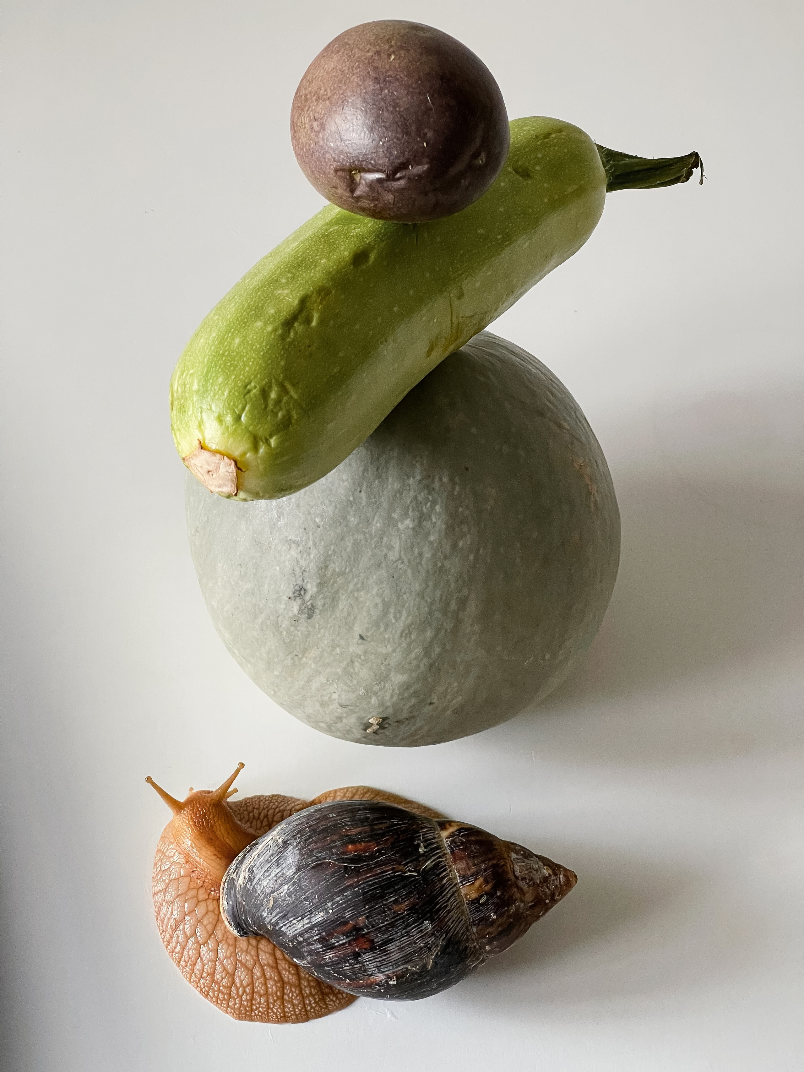 Still-life. Фотохудожник Мила Мокина-Хайруллова. Екатеринбург