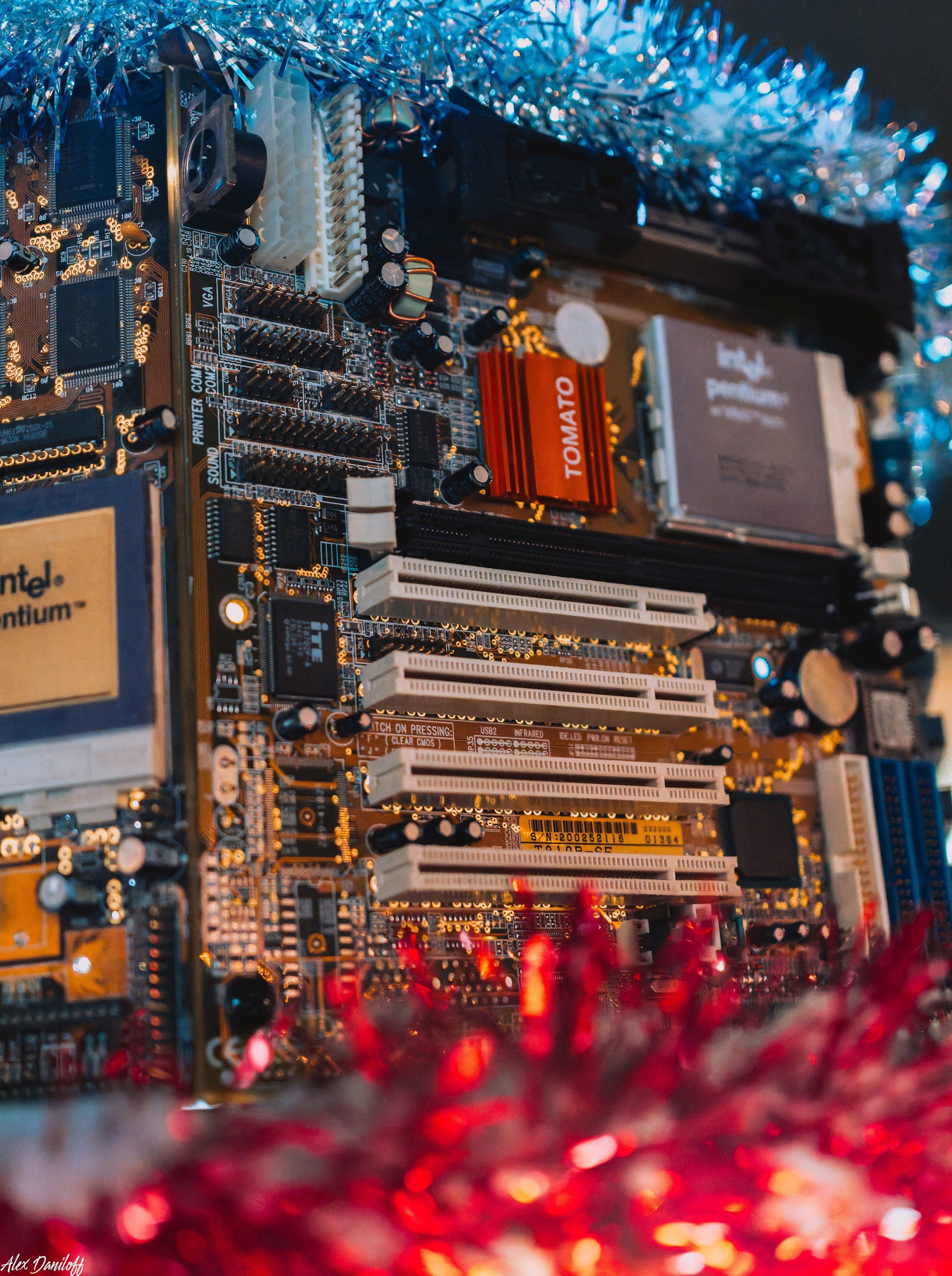 Елки 2025. Муром-Инфо. Новости культуры, образования, спорта в городе Муром