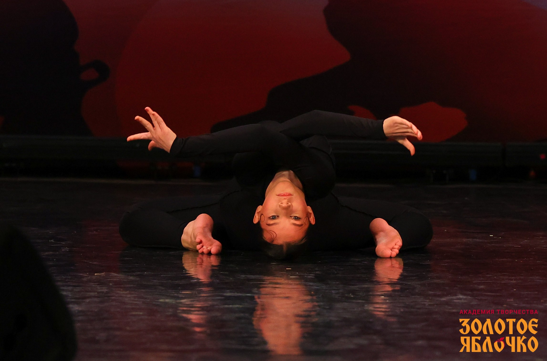 7 февраля, г. Петрозаводск. Золотое яблочко