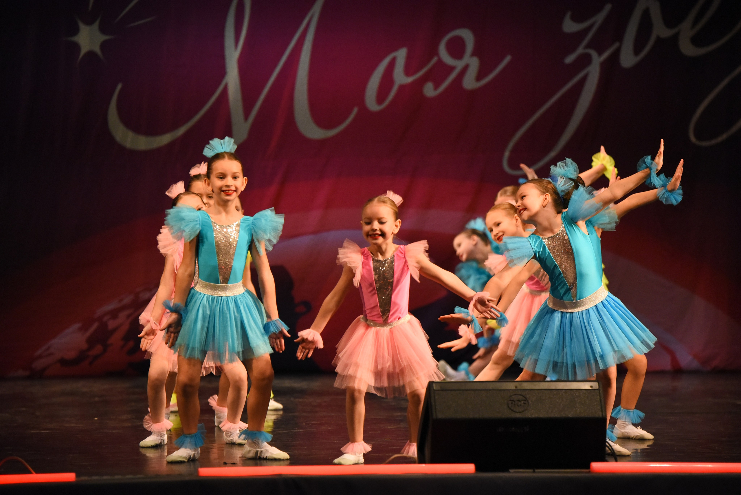 13 декабря, г. Калининград. Золотое яблочко