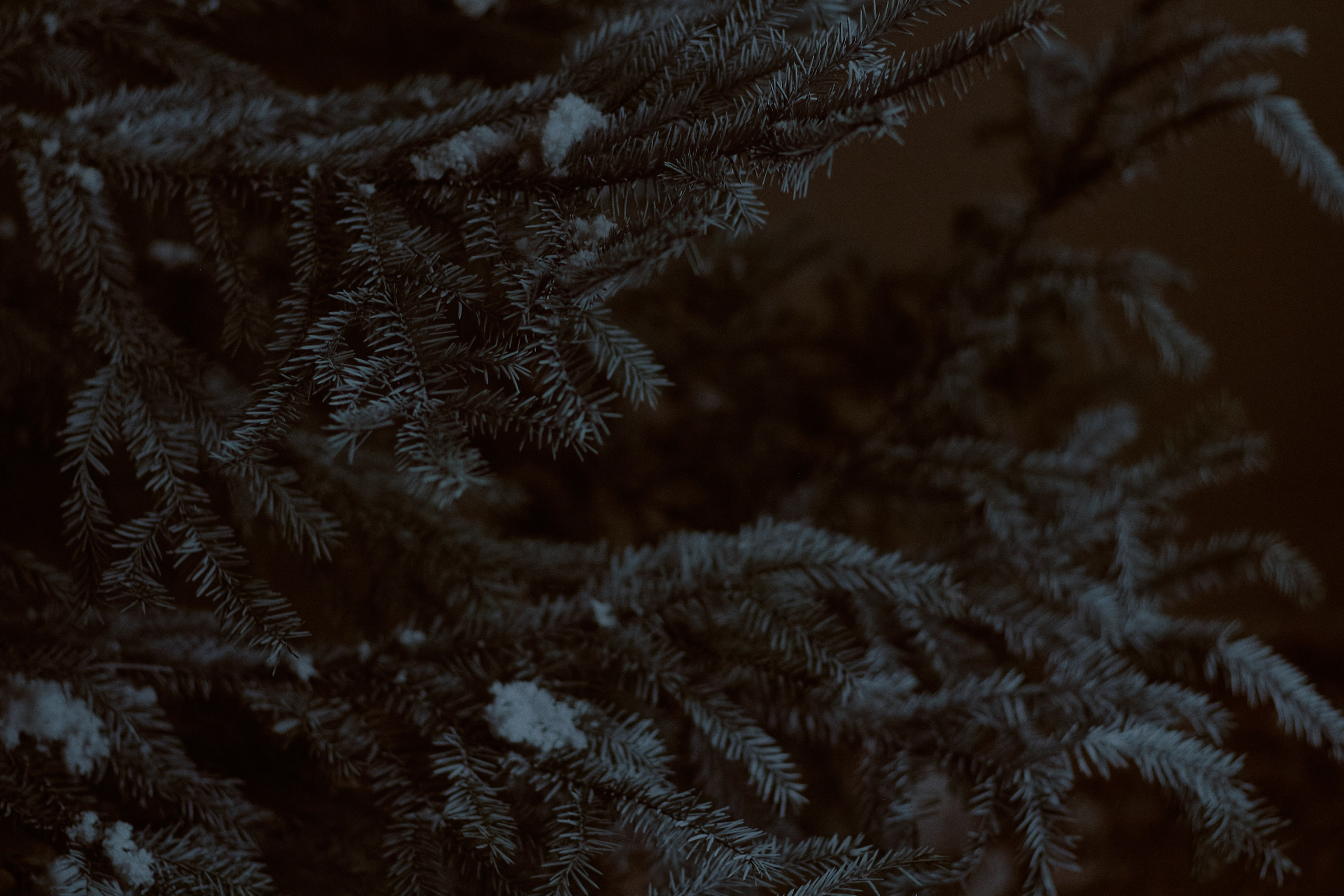 Тень. Фотограф лавстори Москва/МО Приятелева Ангелина