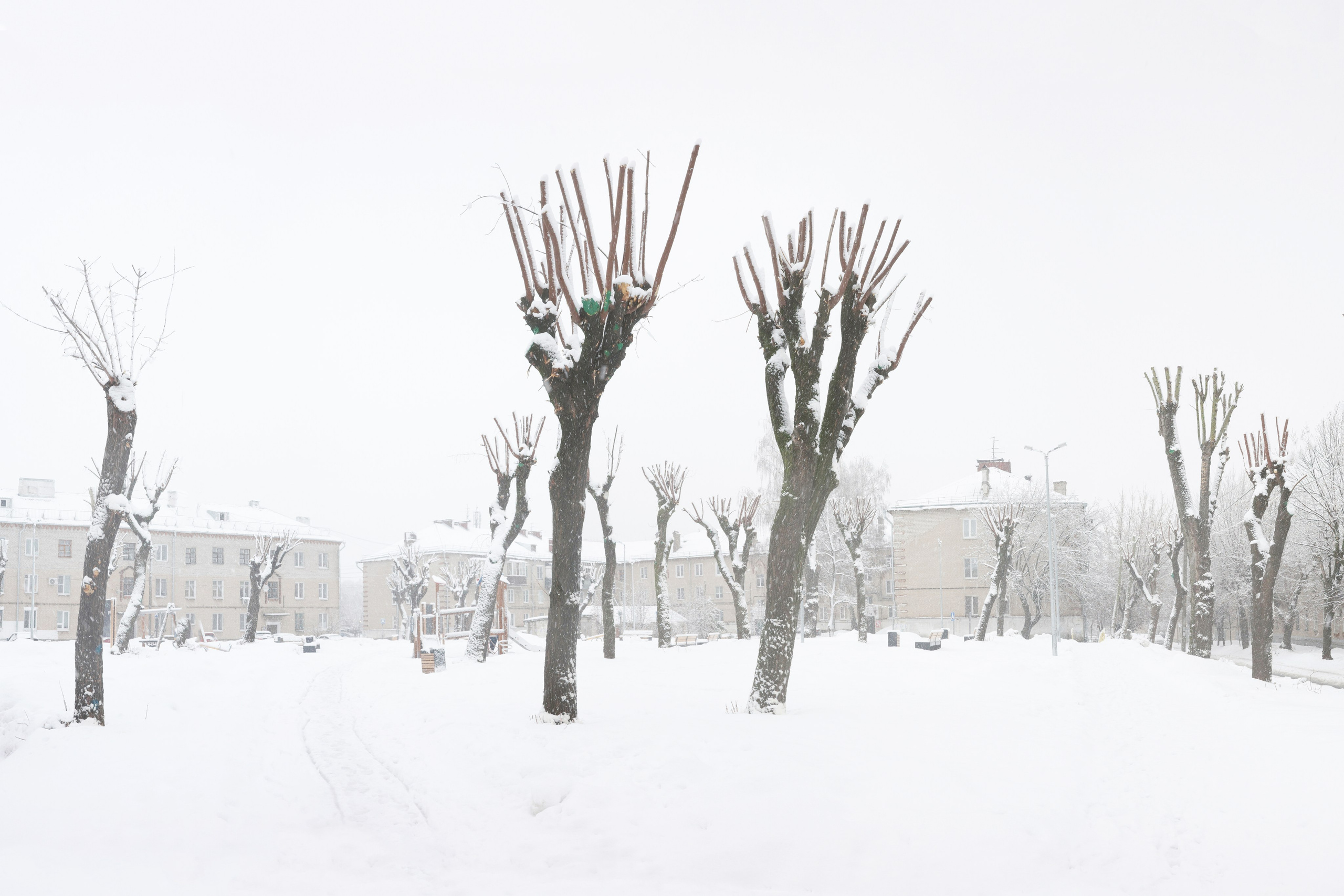 Кронирование. Главная