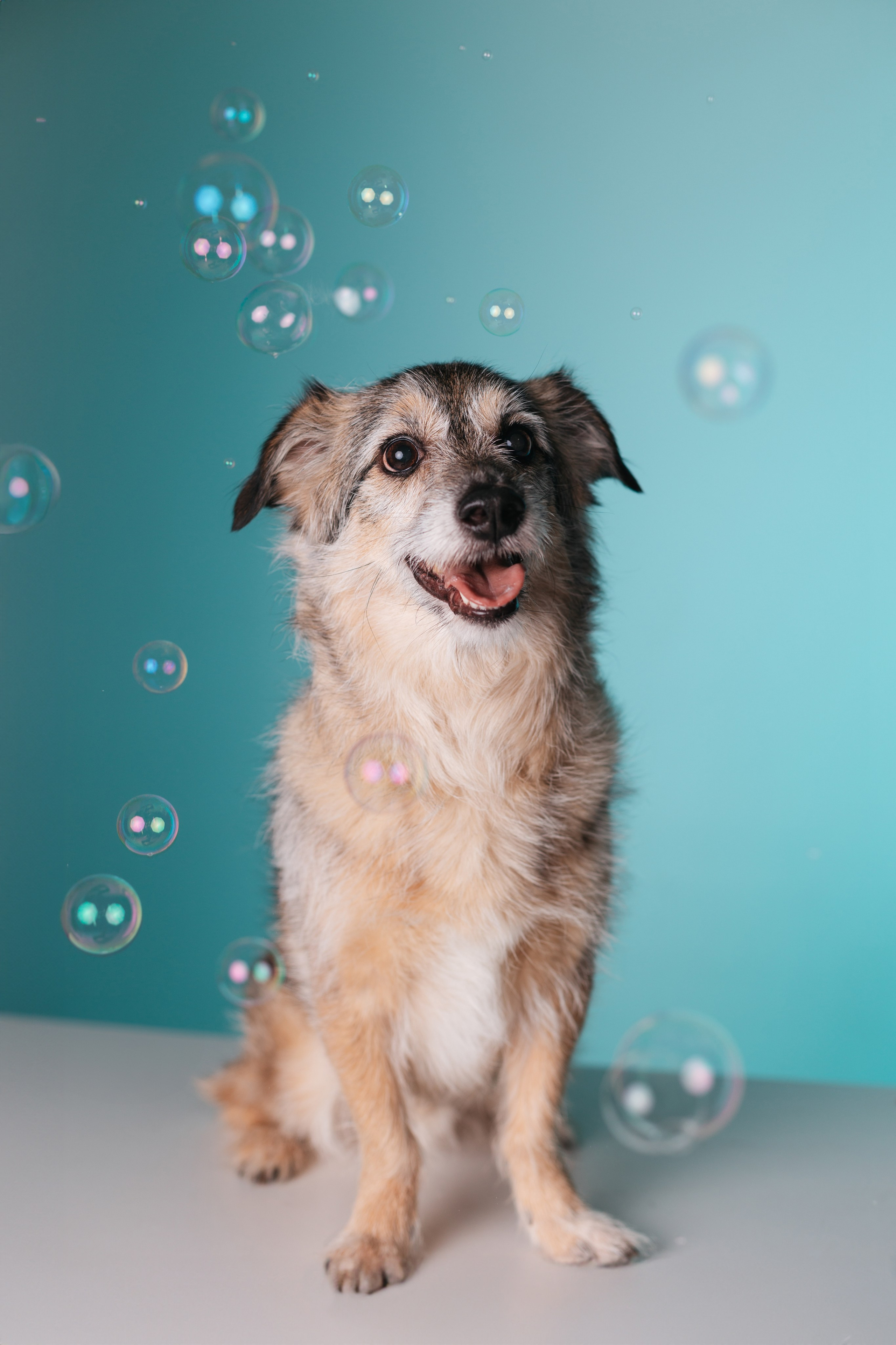 Неон 2 (фотодень). Фотограф анималист Кристина Карпова, Москва