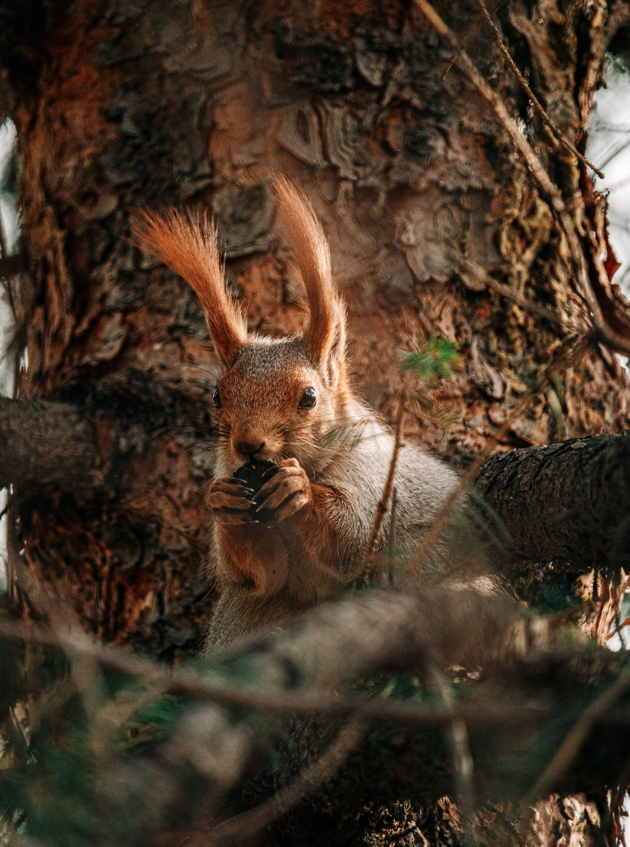 Жизнь. Фотограф Алматы | Весь мир — Никита Колодин